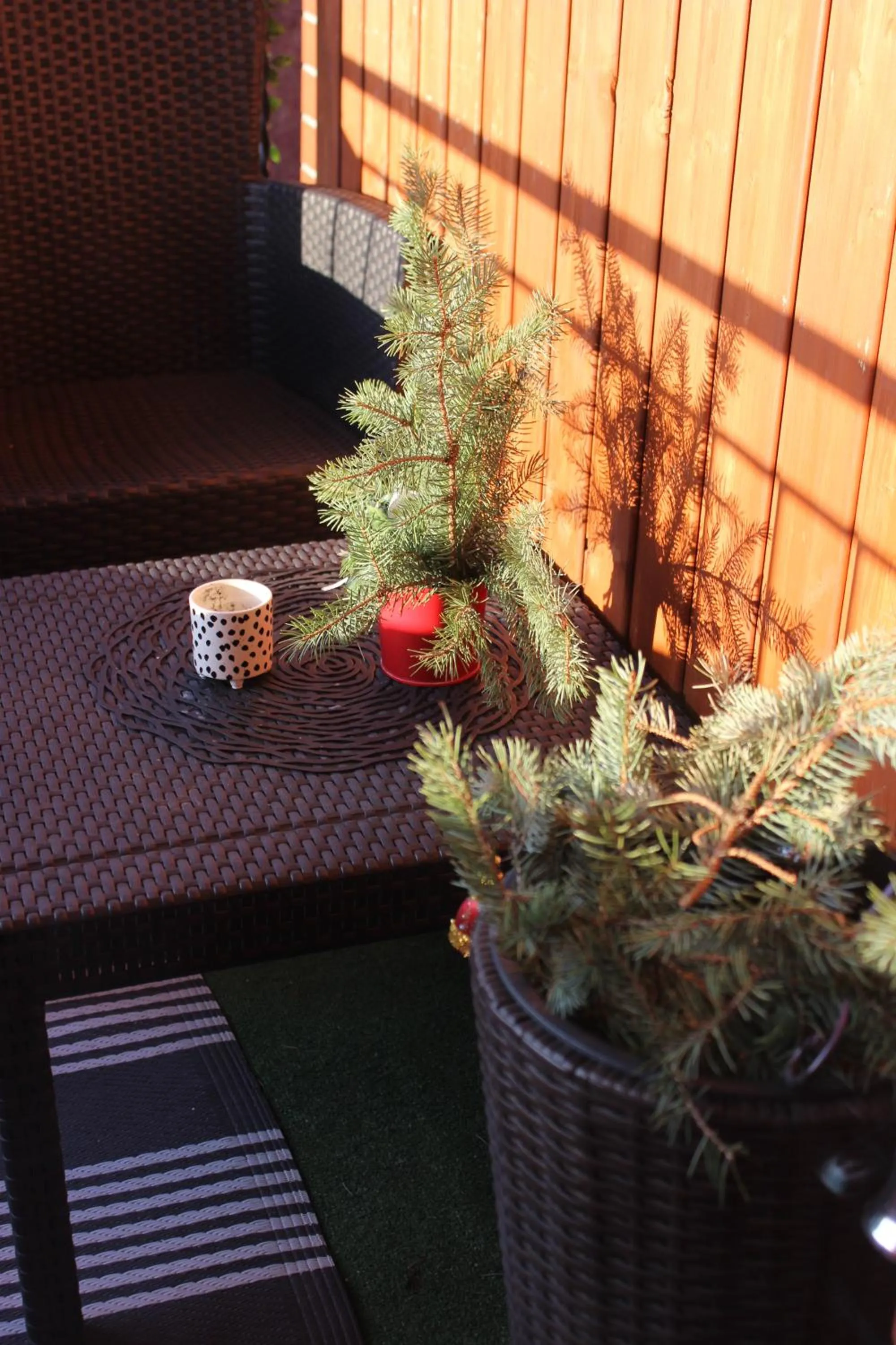 Garden view in Klinkierowa Komnata