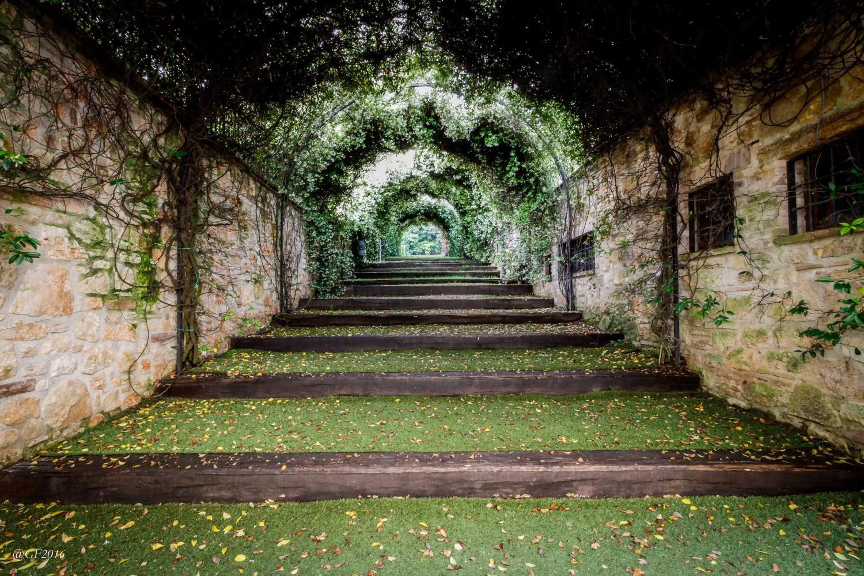 Activities in San Pietro Sopra Le Acque Resort & Spa