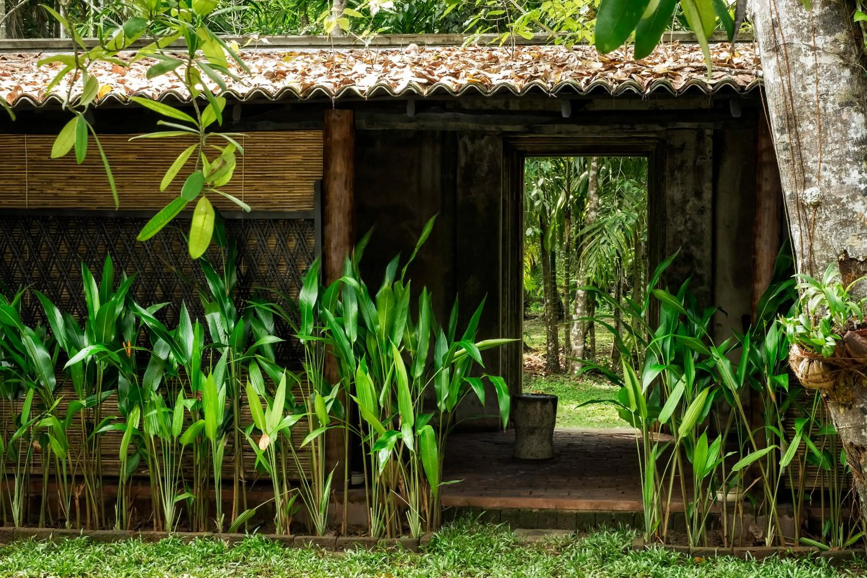 Garden in Nisala Arana Boutique Hotel