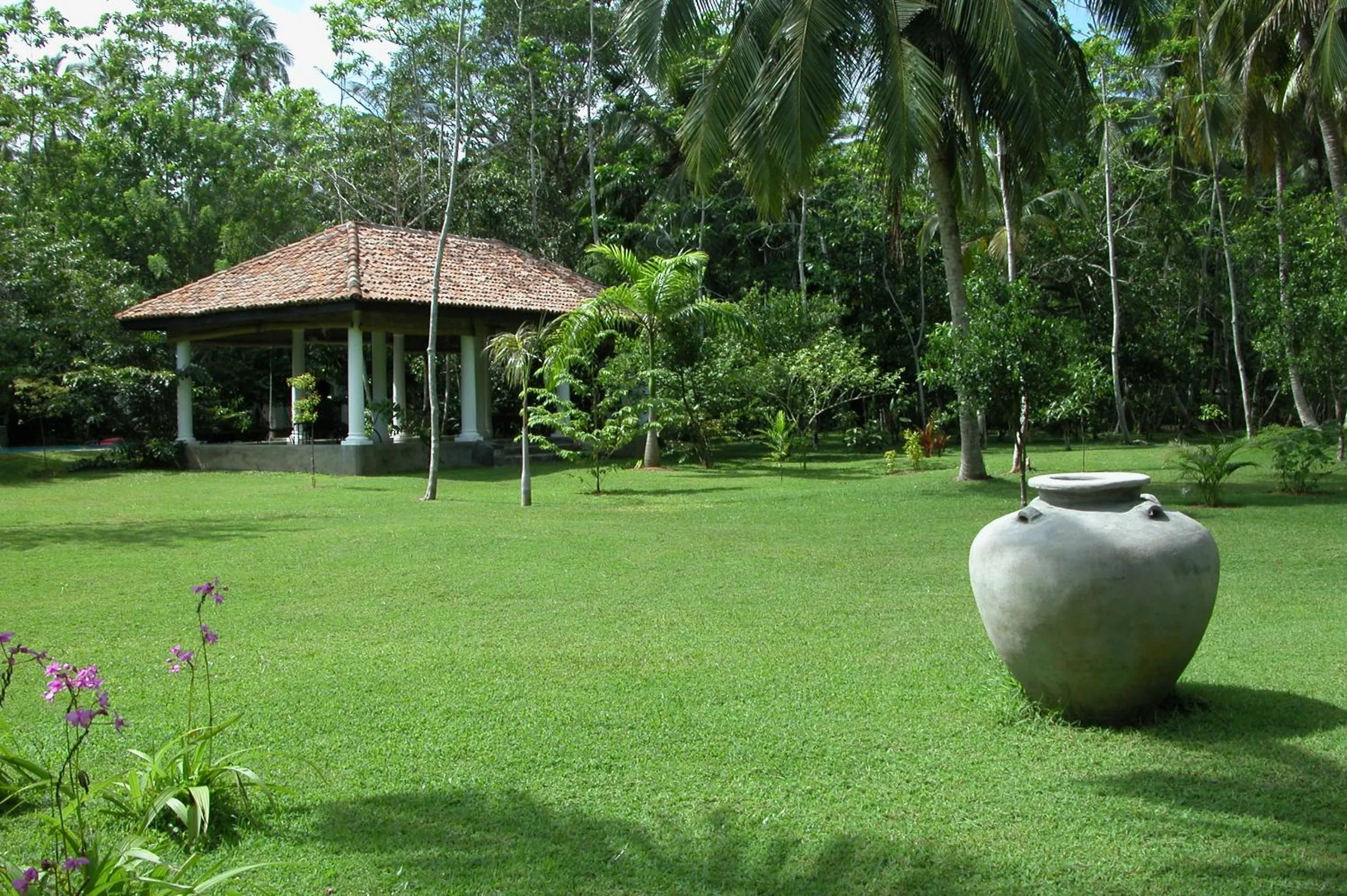 Natural landscape in Nisala Arana Boutique Hotel