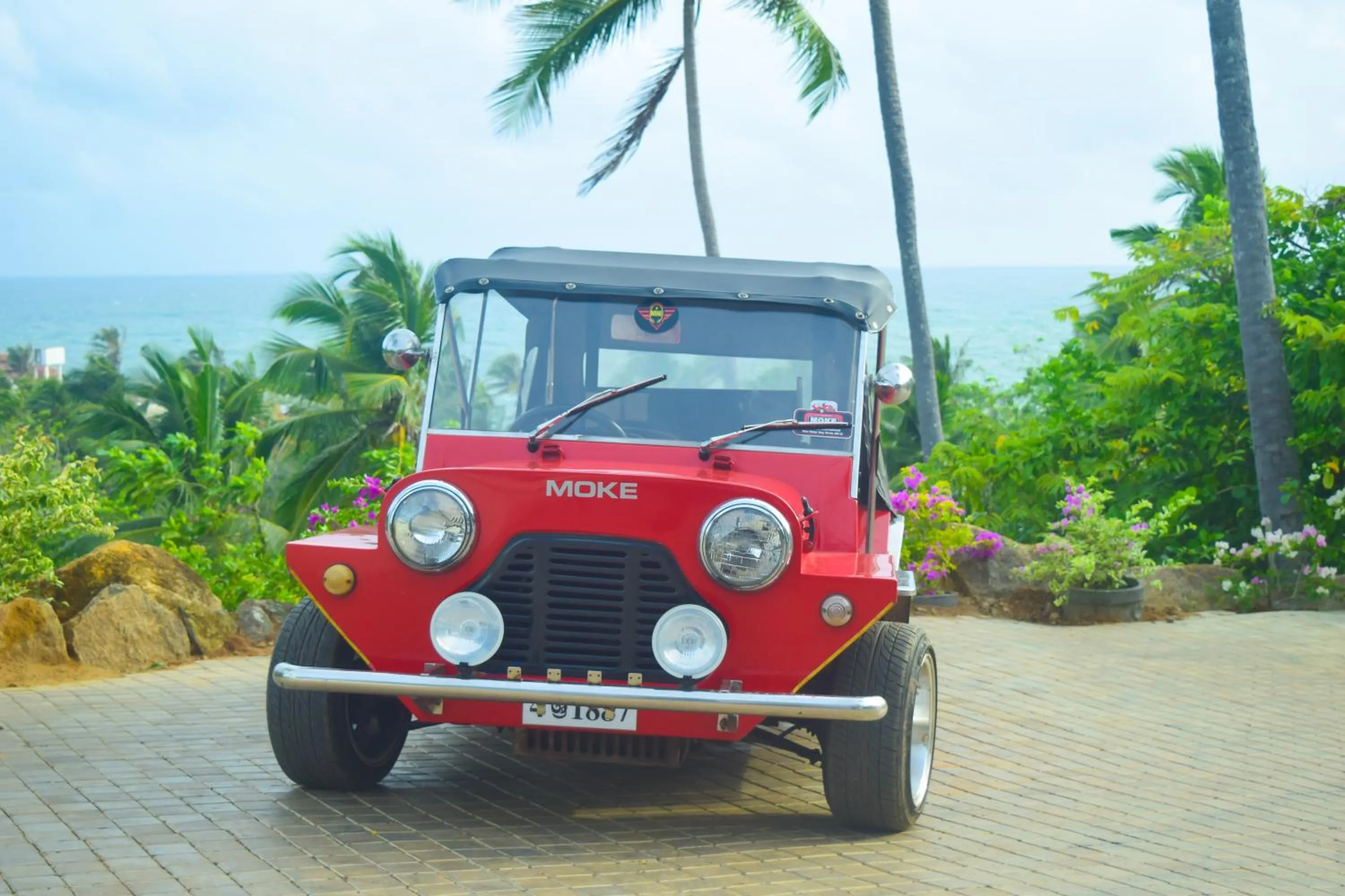 Activities in Villa Thawthisa The Boutique Hotel Unawatuna