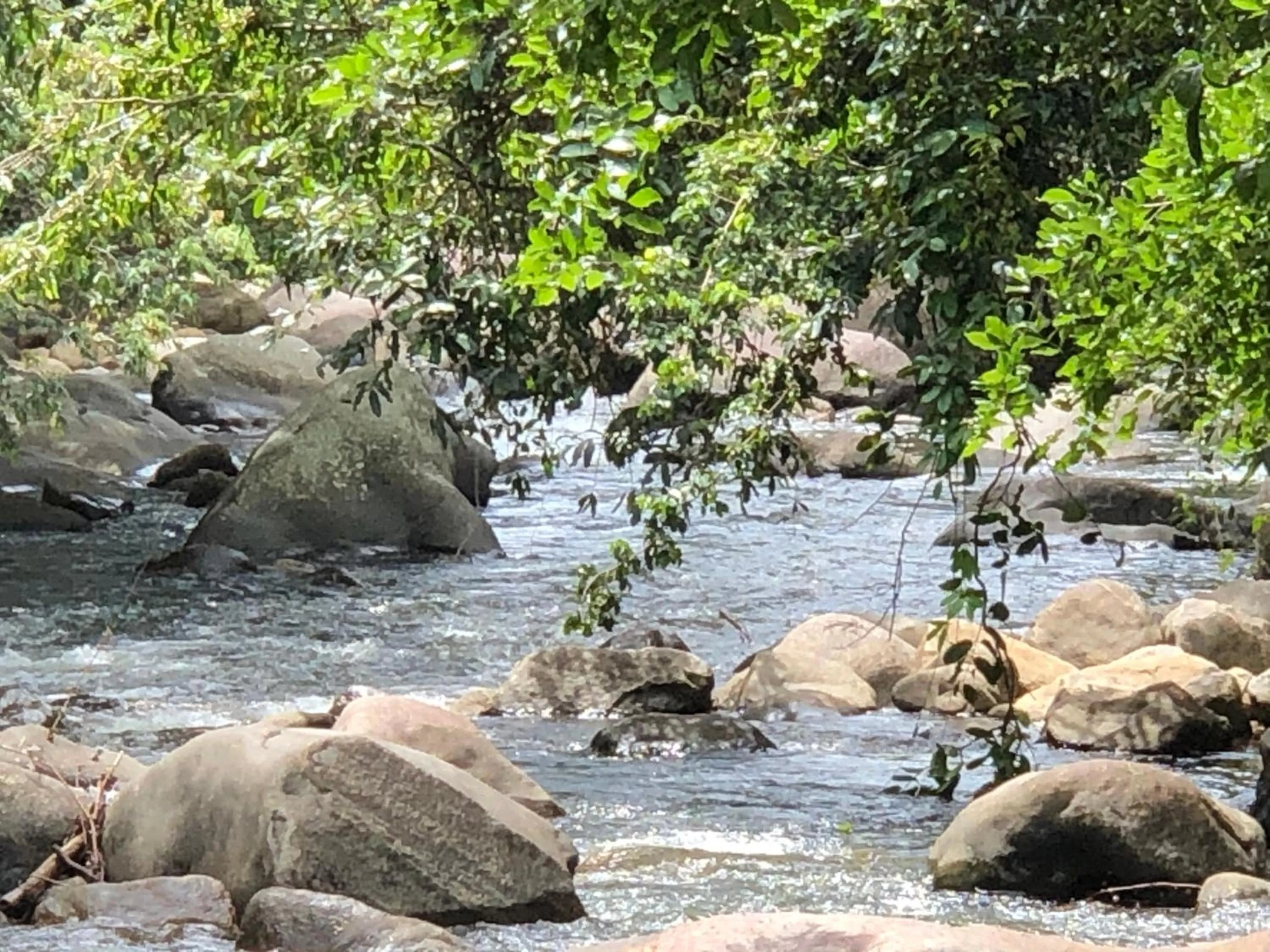Natural landscape in River Garden Resort