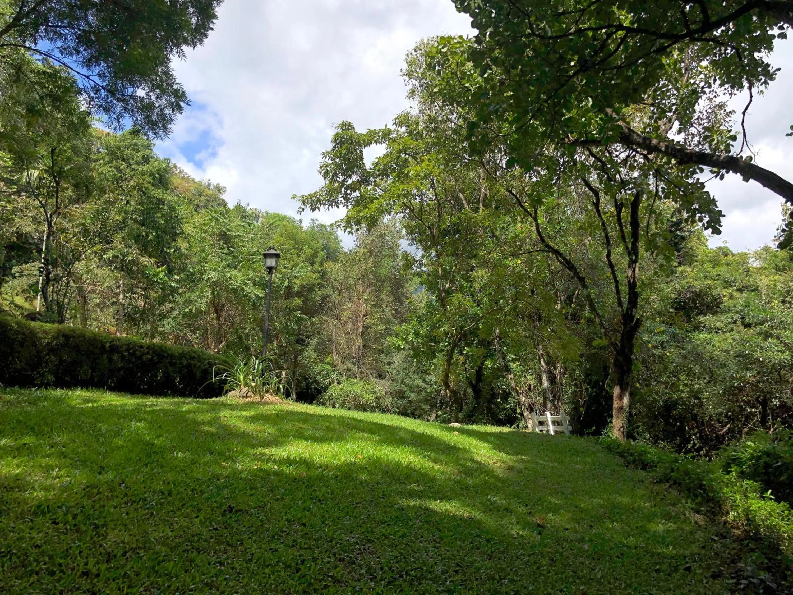 Garden in River Garden Resort