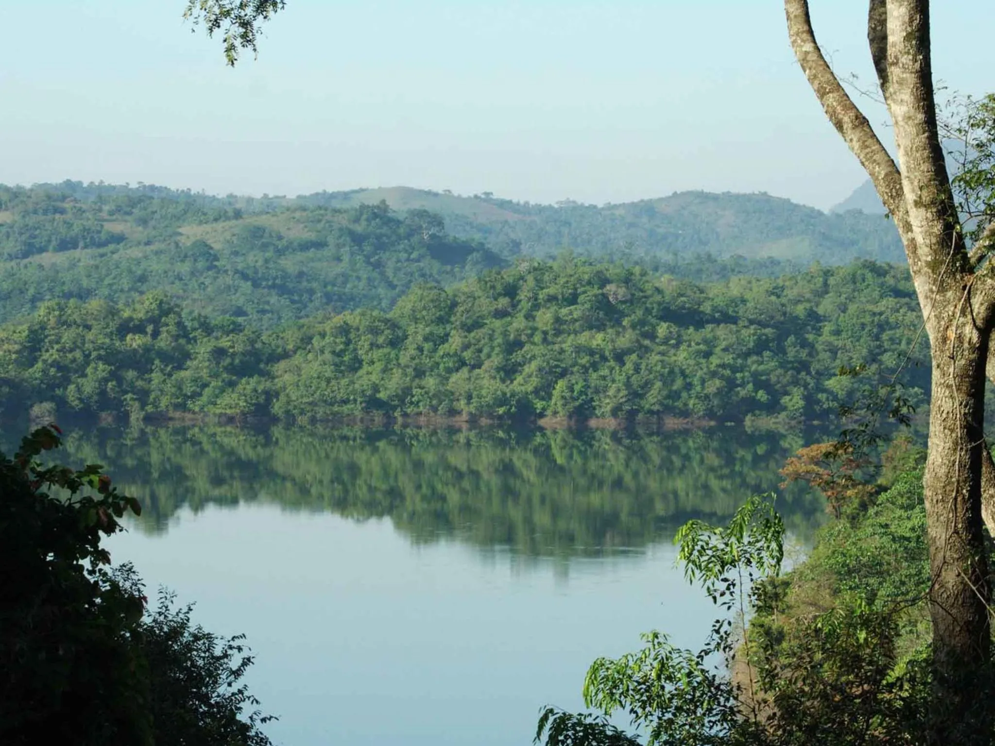 Natural landscape in River Garden Resort