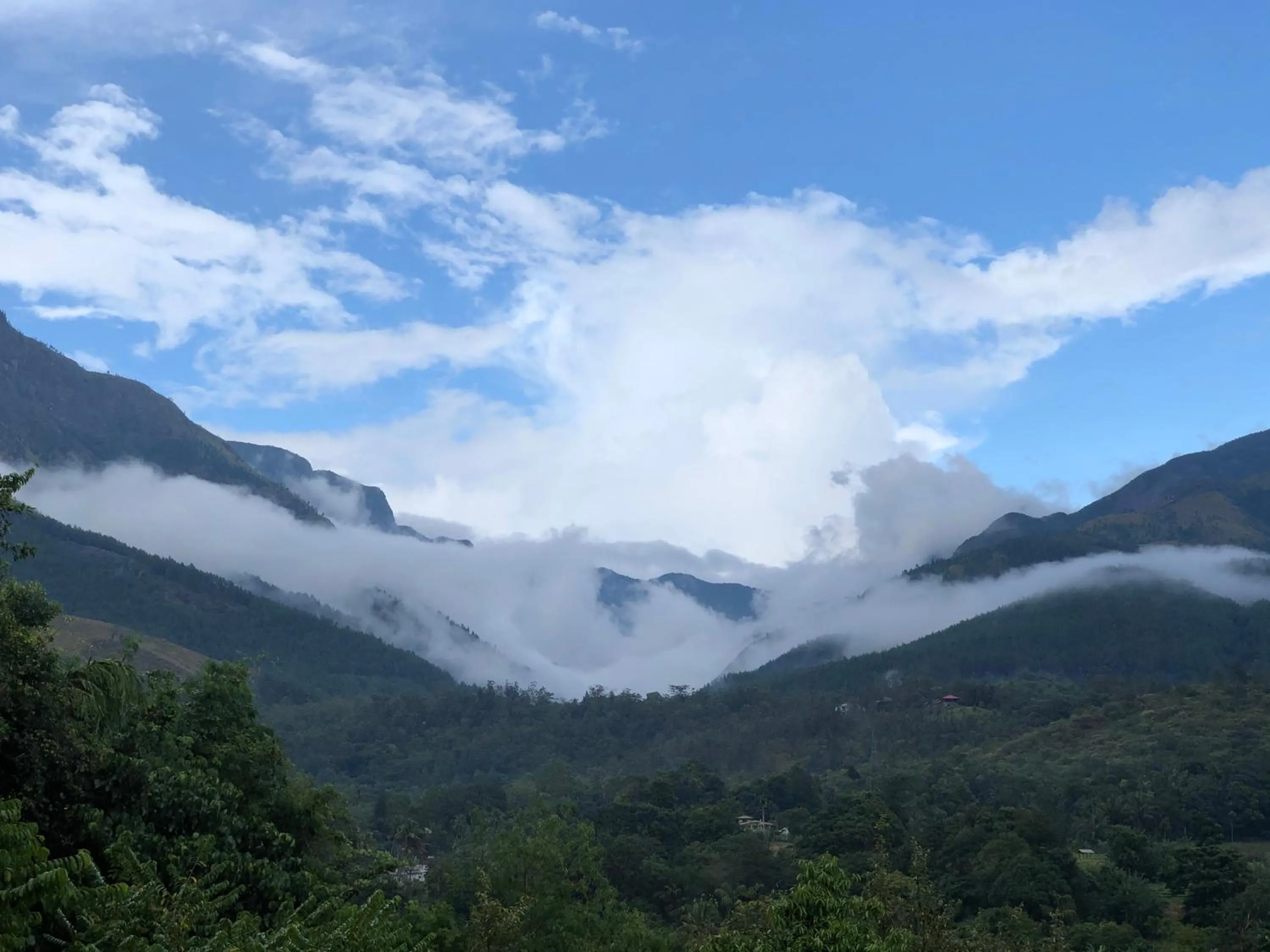 Natural landscape in River Garden Resort