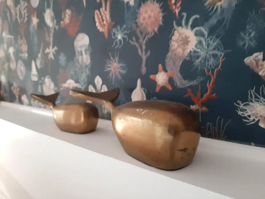 Le Cabanon du Cachalot