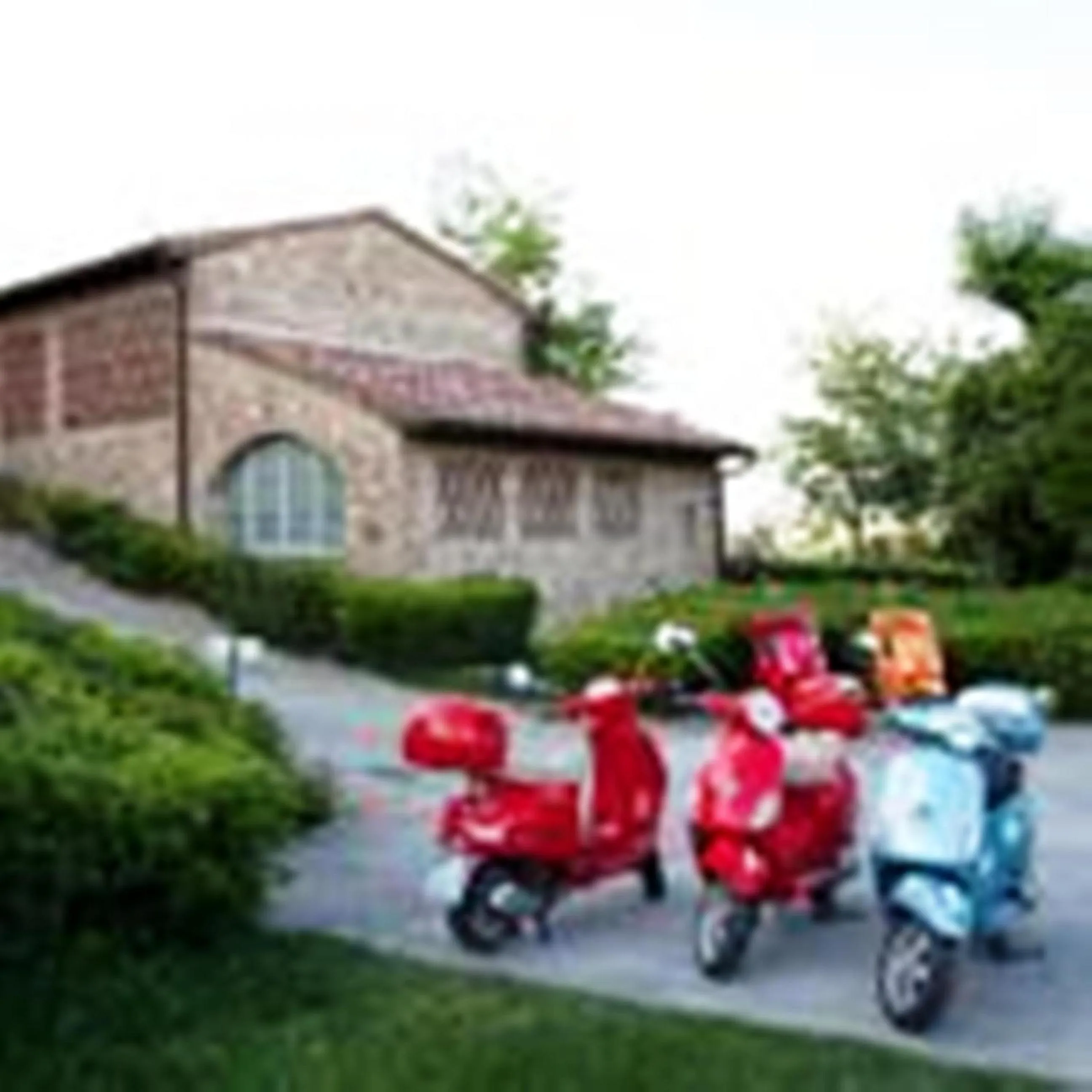 Activities in Villa Ducci