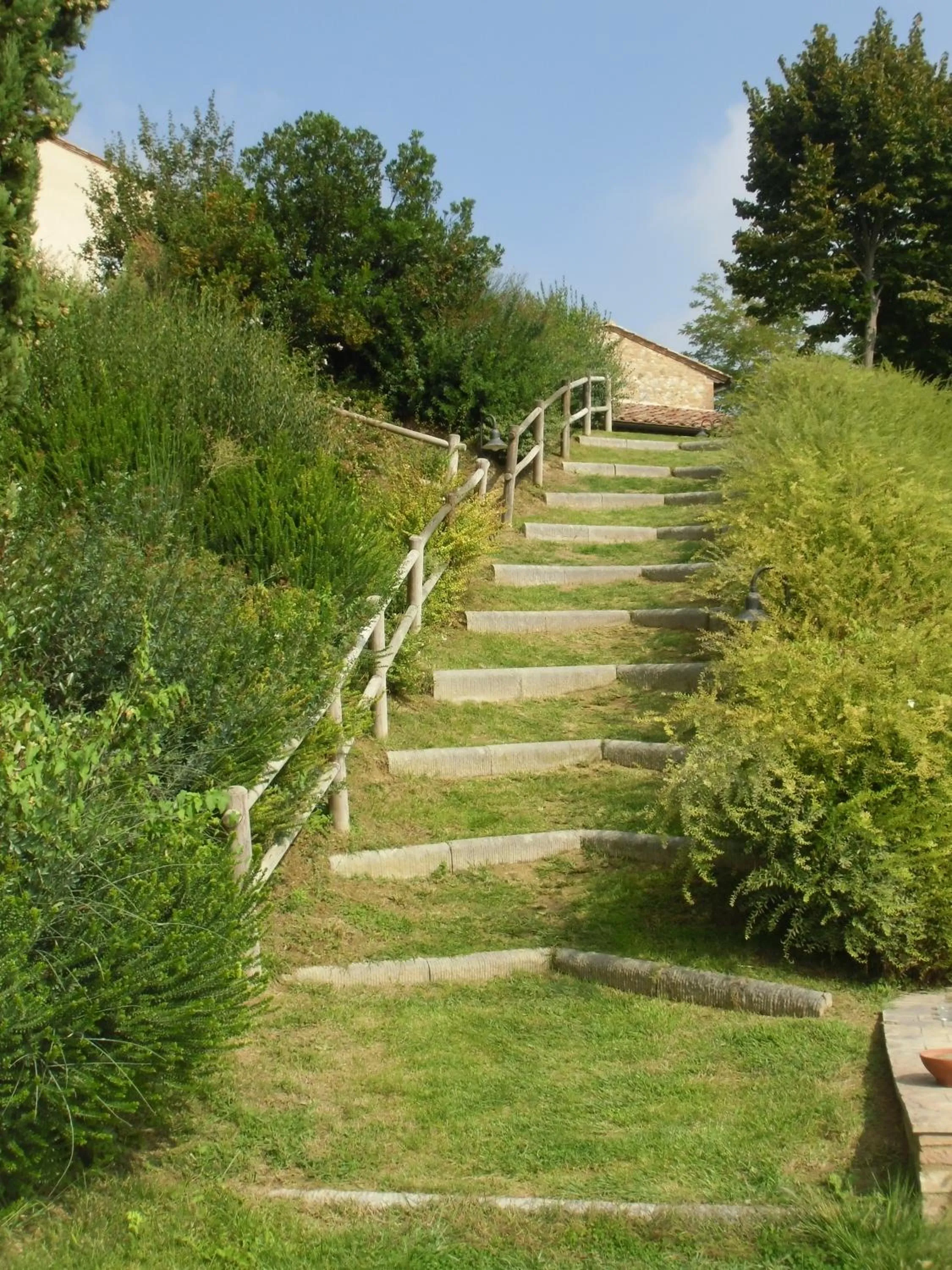 Garden in Villa Ducci