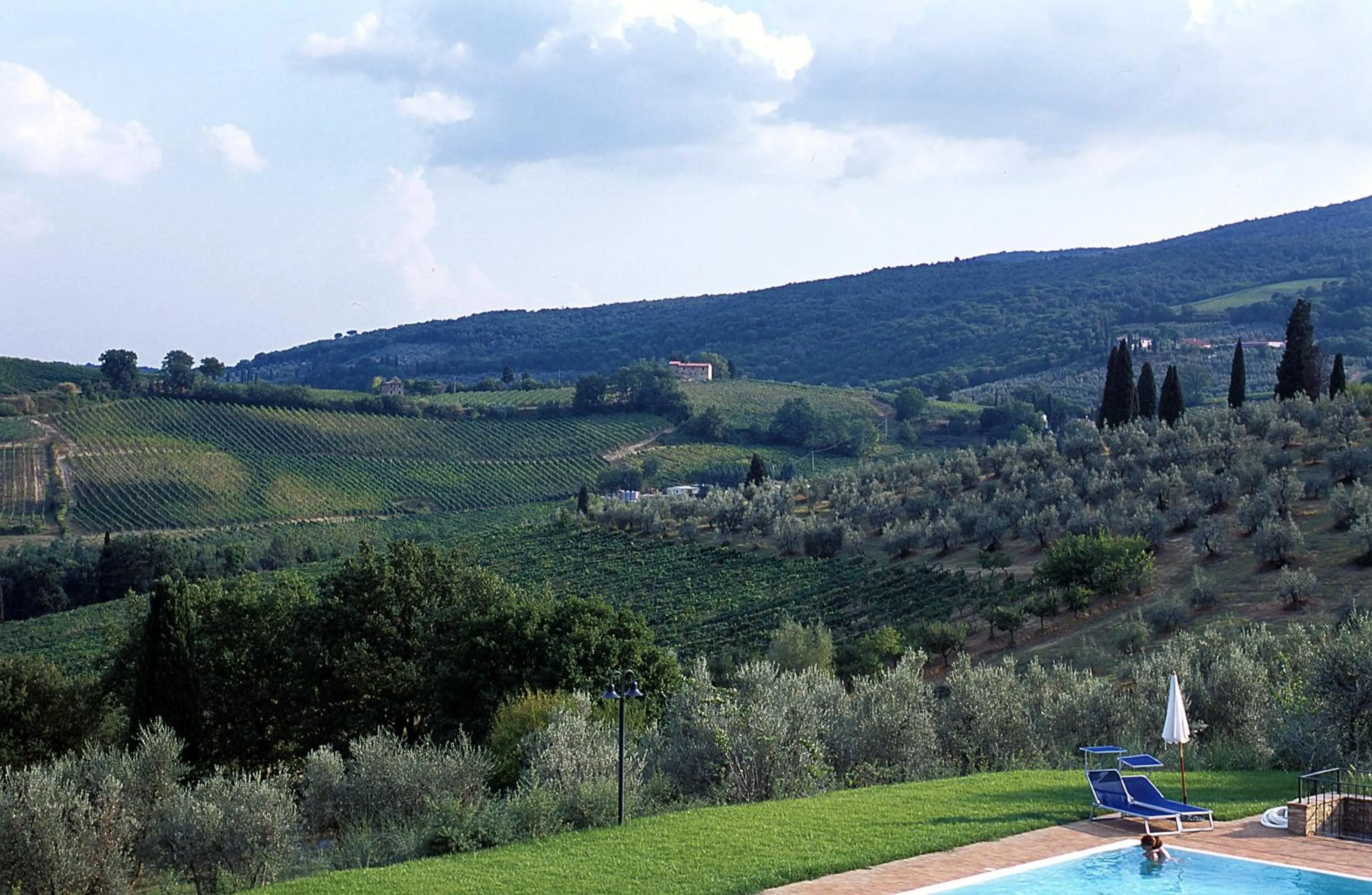 Area and facilities in Villa Ducci