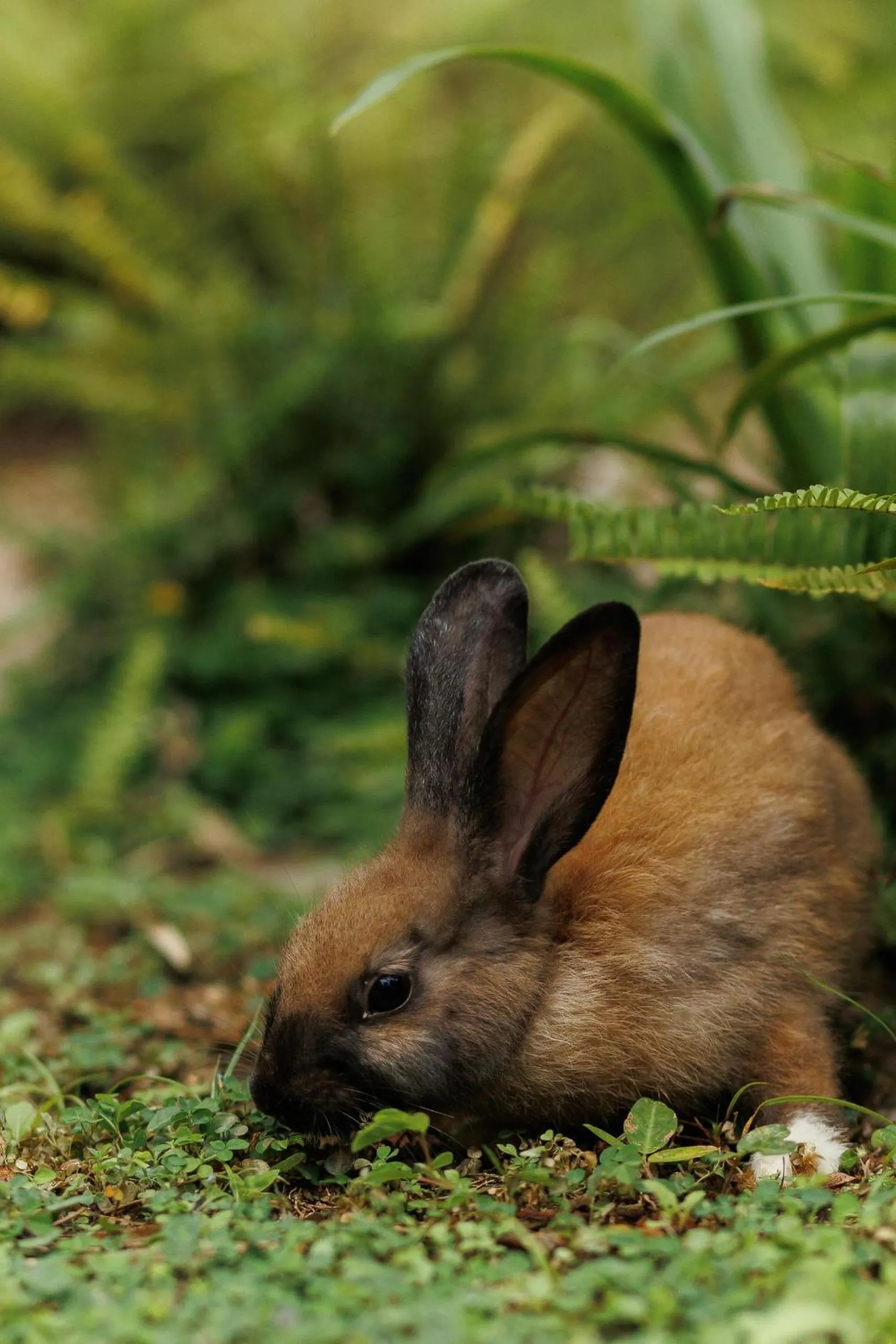 Natural landscape in Villa White Queen Resort & Spa
