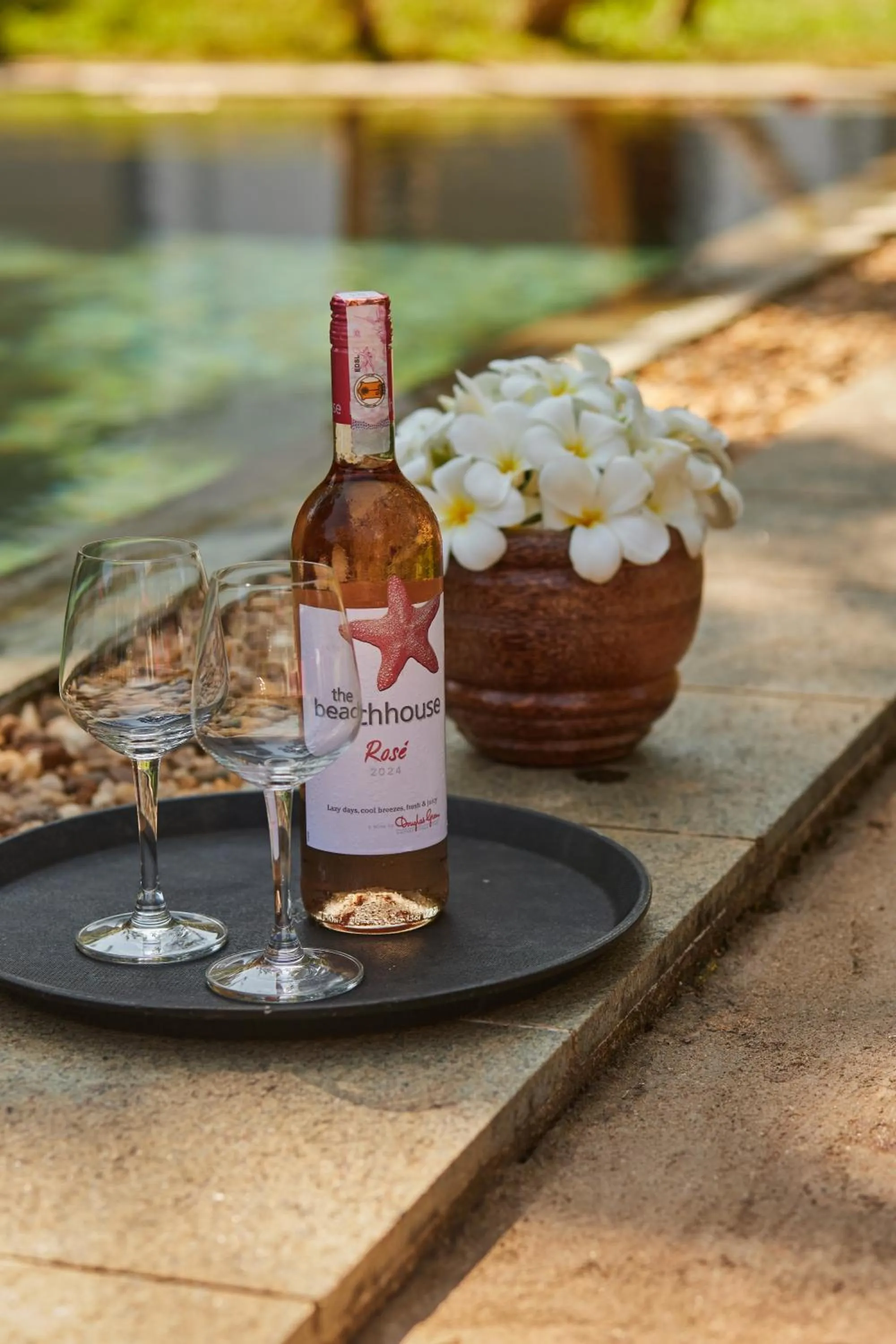 Lounge or bar in Villa White Queen Resort & Spa