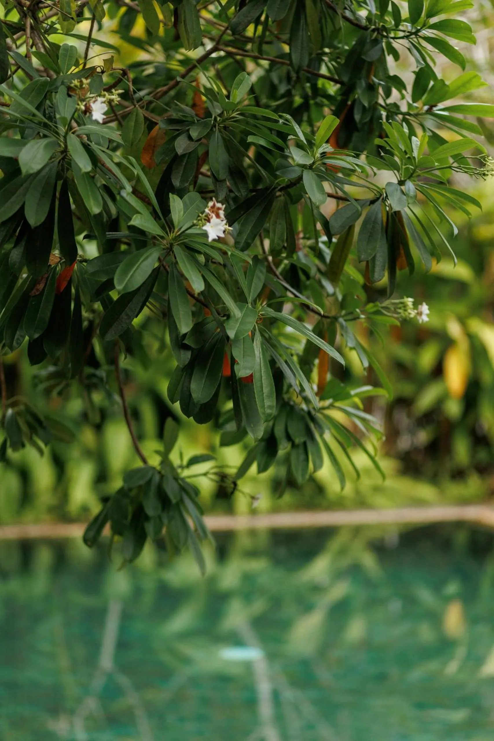 View (from property/room) in Villa White Queen Resort & Spa