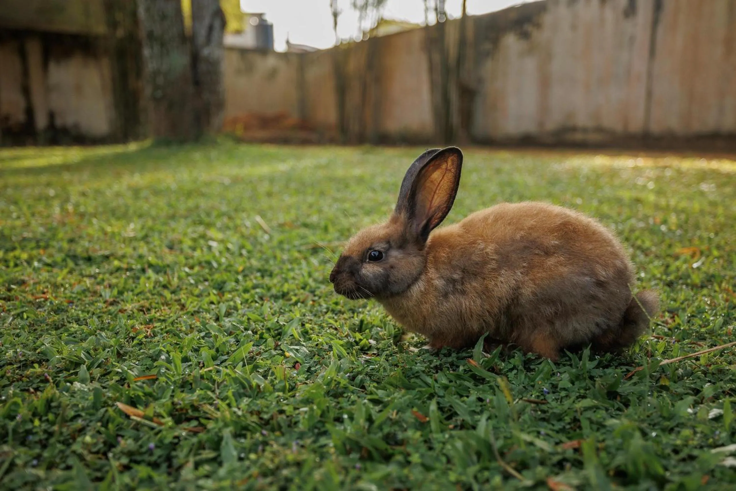 Garden in Villa White Queen Resort & Spa