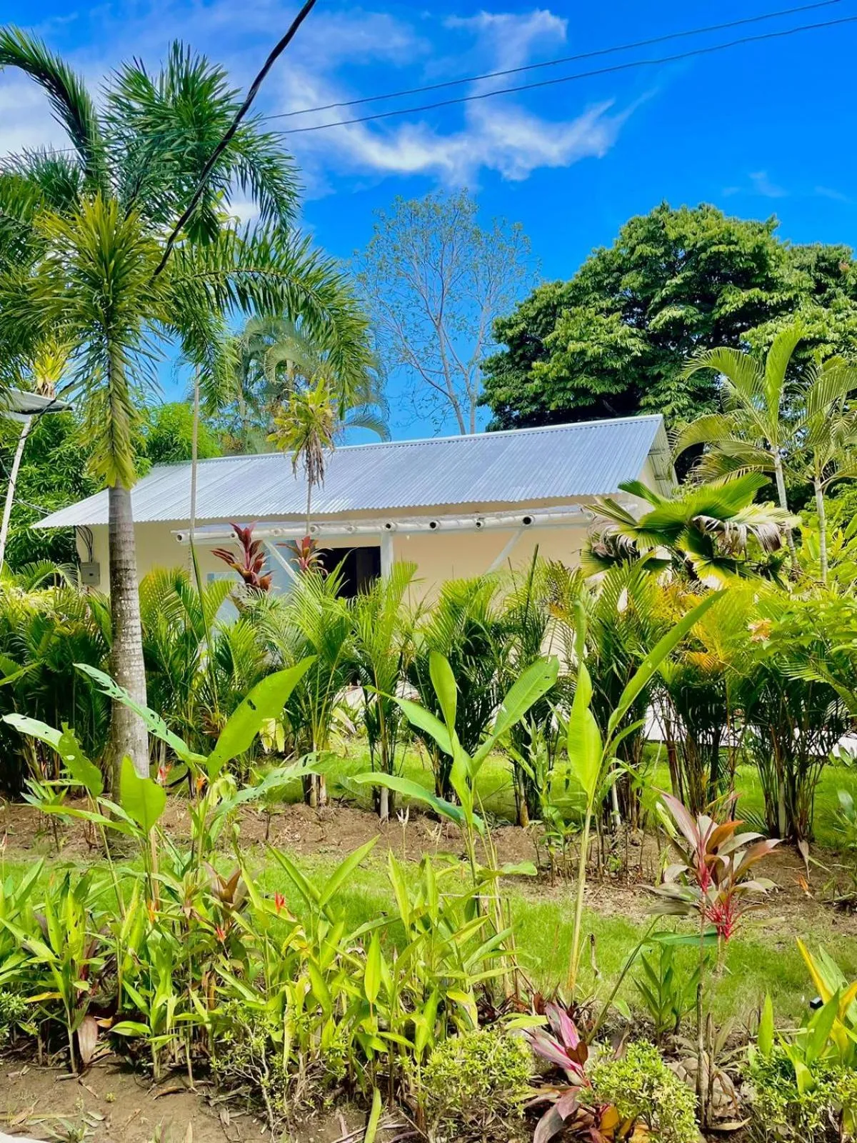 Property building in Grand Park Manuel Antonio - Adults Only