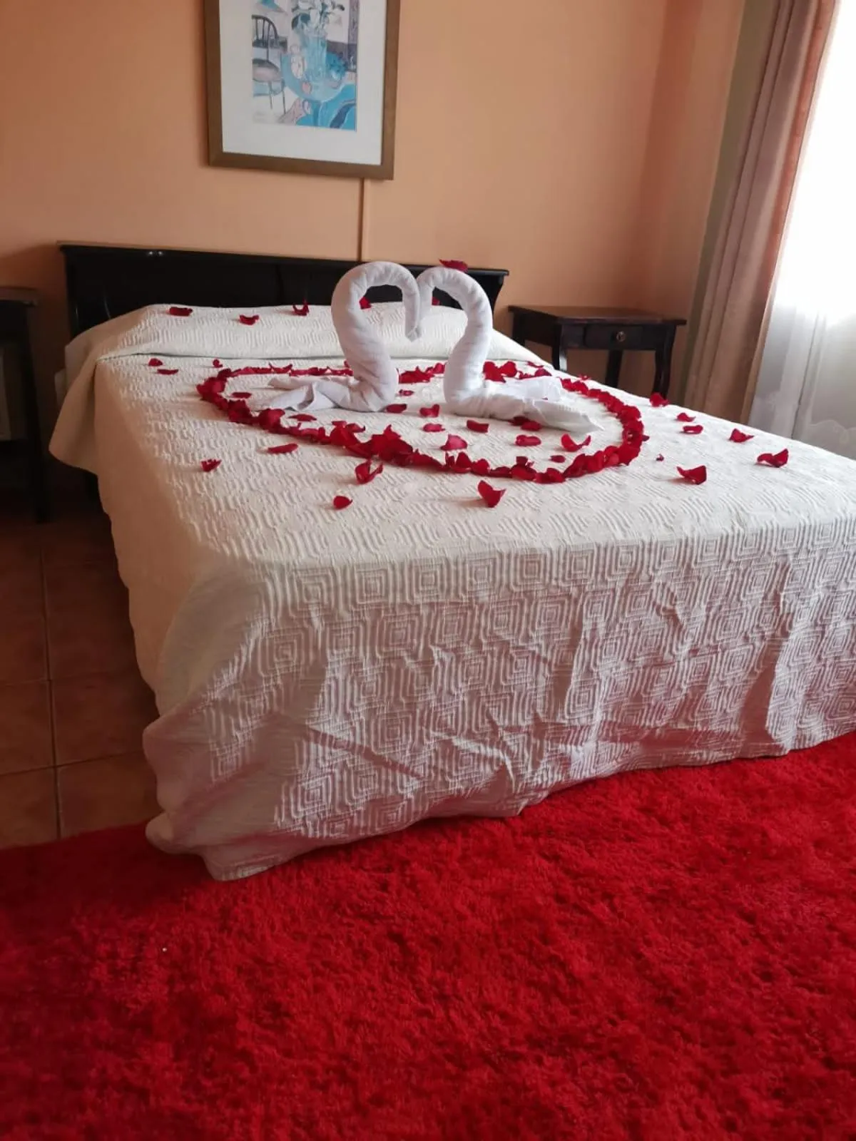 Bed in House of the Macaws