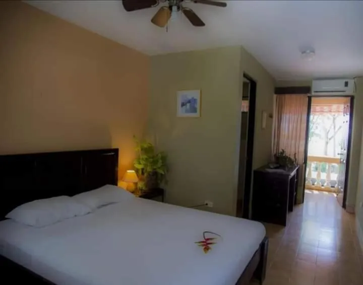 Bed in House of the Macaws