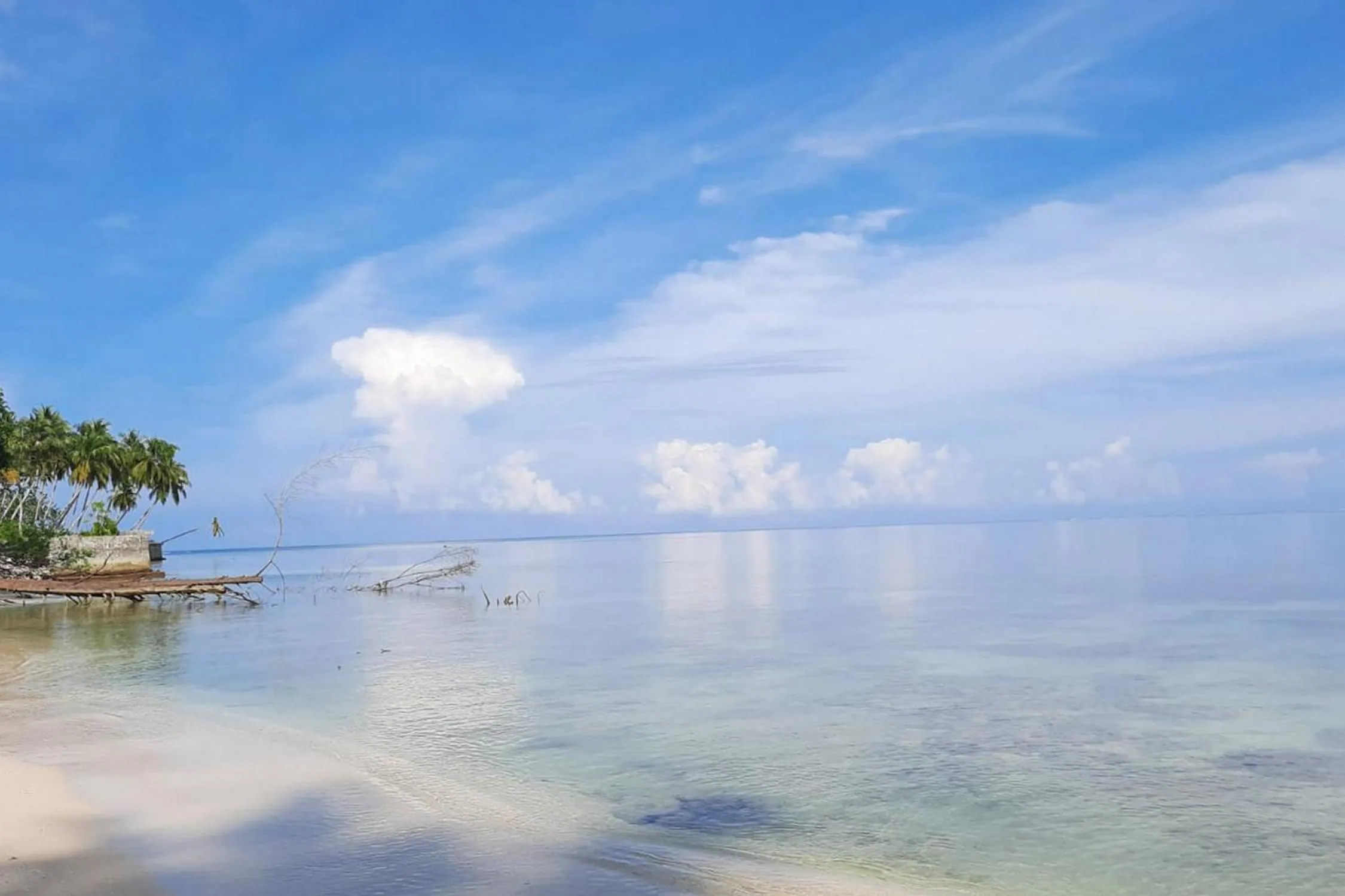 Prima Homestay Mentawai Mitra RedDoorz