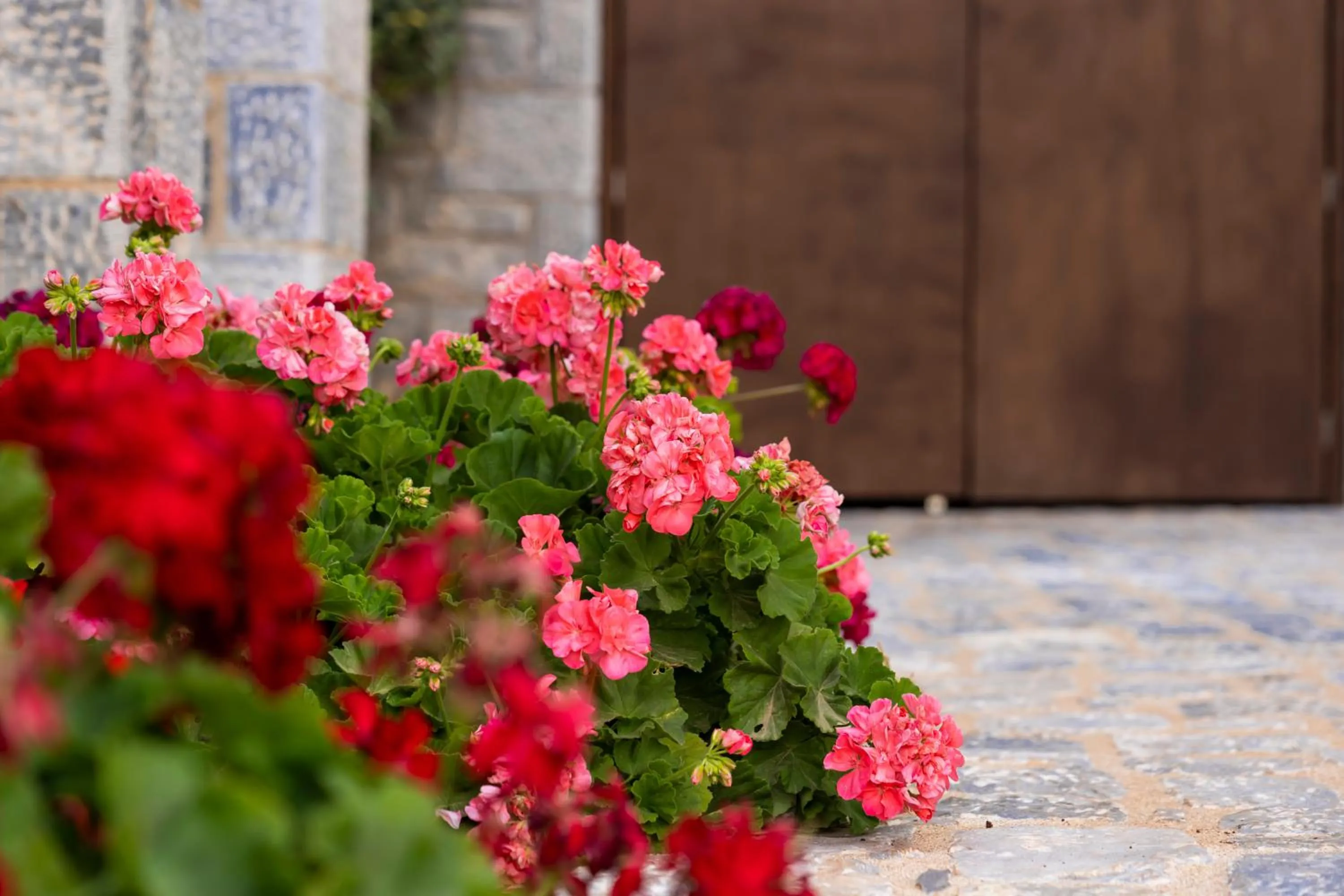 Garden in Manifest Boutique Hotel