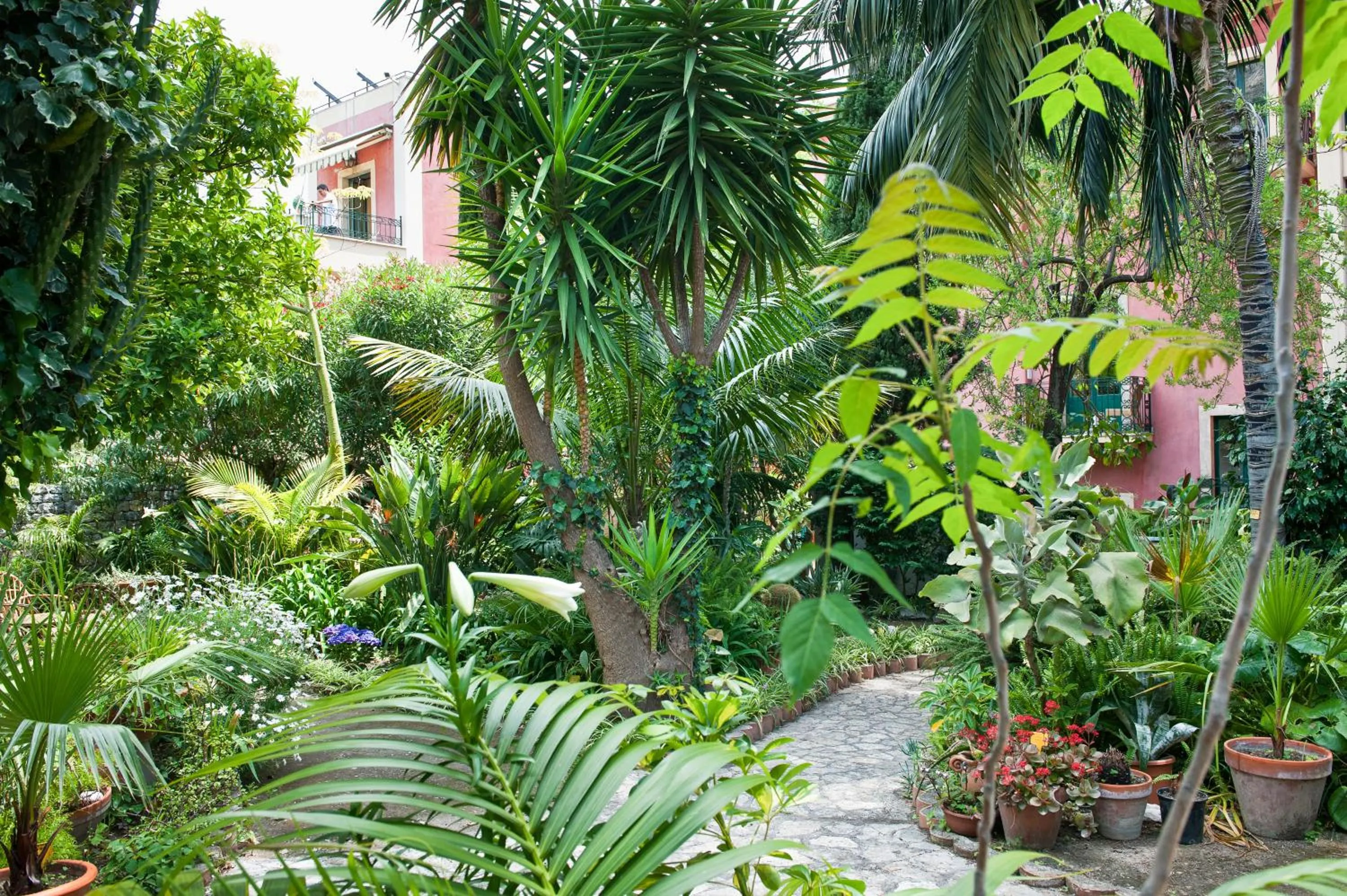 Garden in Hotel Villa Schuler