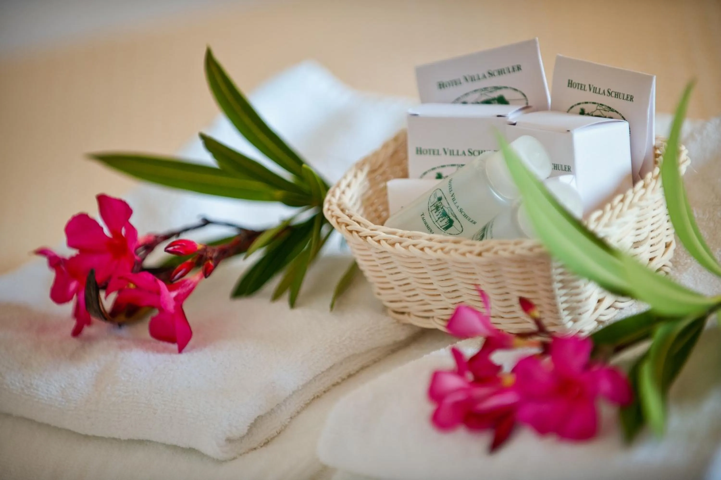 Bathroom in Hotel Villa Schuler