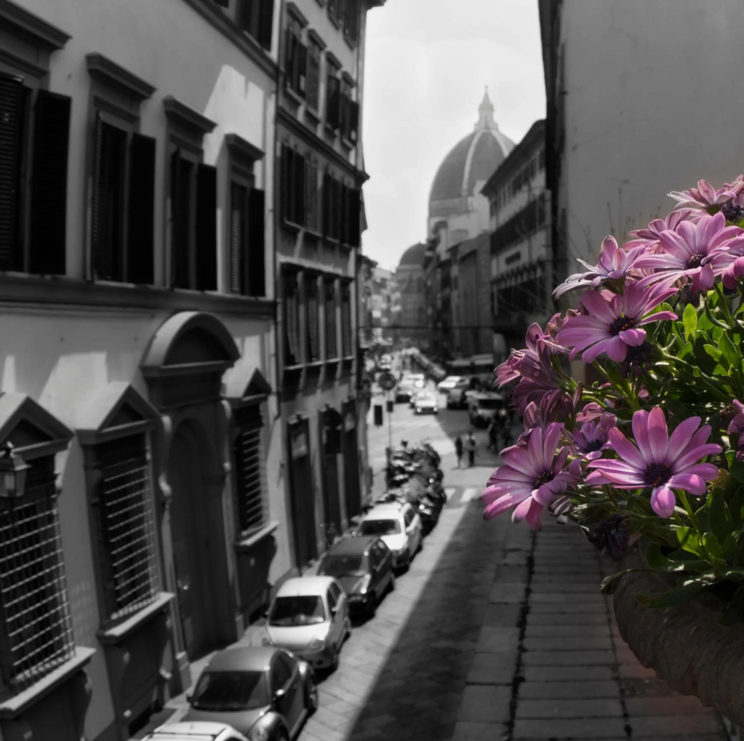 Property building in Hotel Balcony