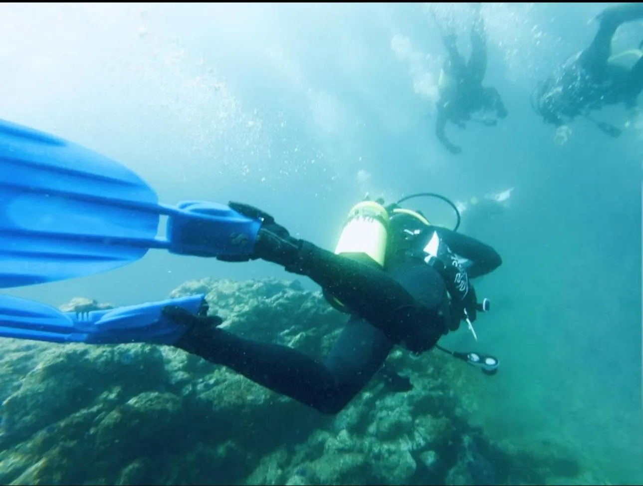 Diving in The tulip Marina Highrise with ocean view