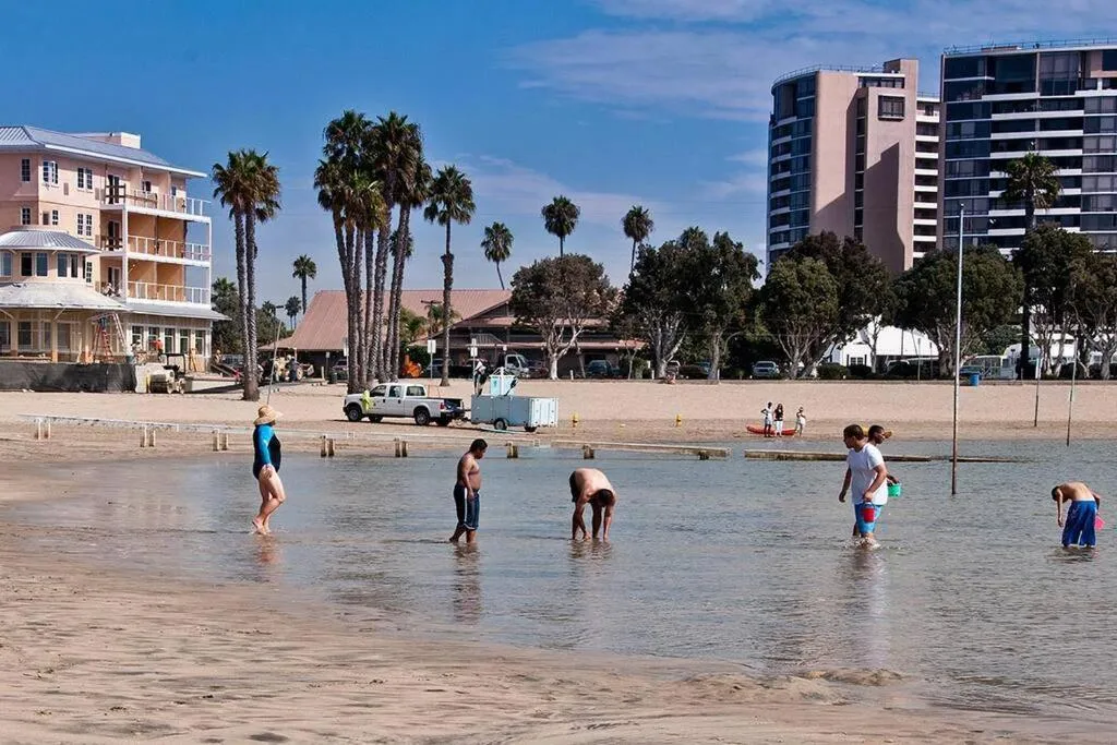 Beach in The tulip Marina Highrise with ocean view