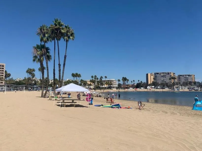 Beach in The tulip Marina Highrise with ocean view