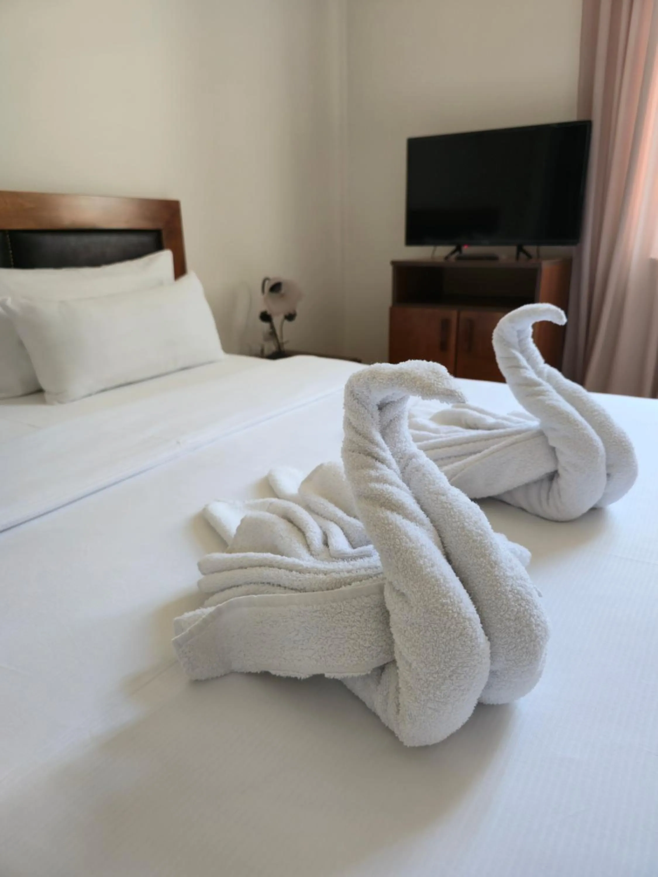 Deluxe Double Room in Devedzic
