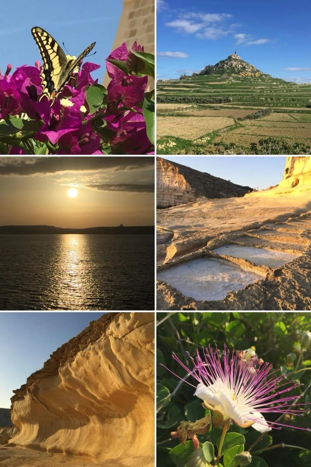 Spring in Ta’ Giljan B&B Gozo