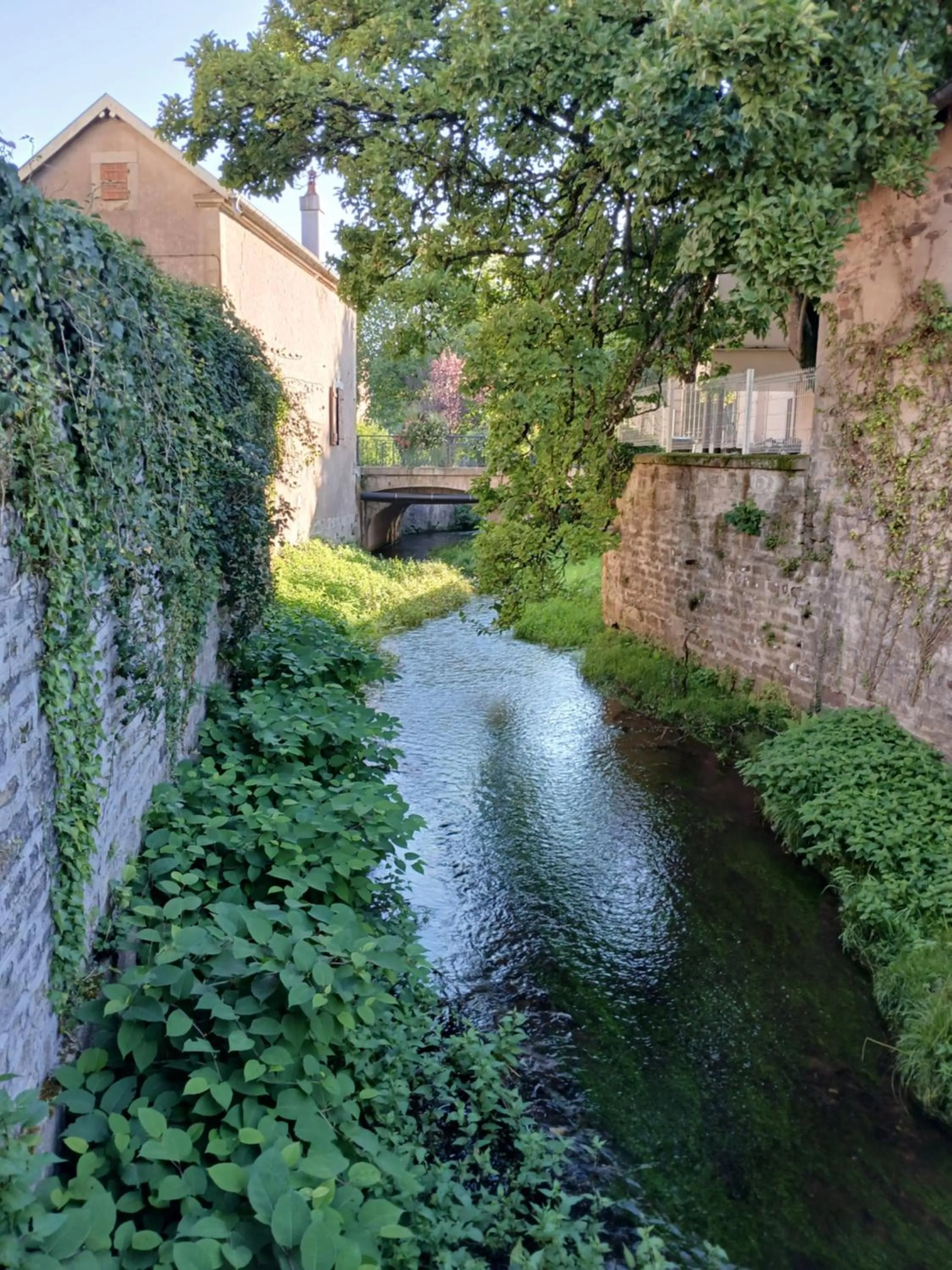 River view in Manoir La Cerise