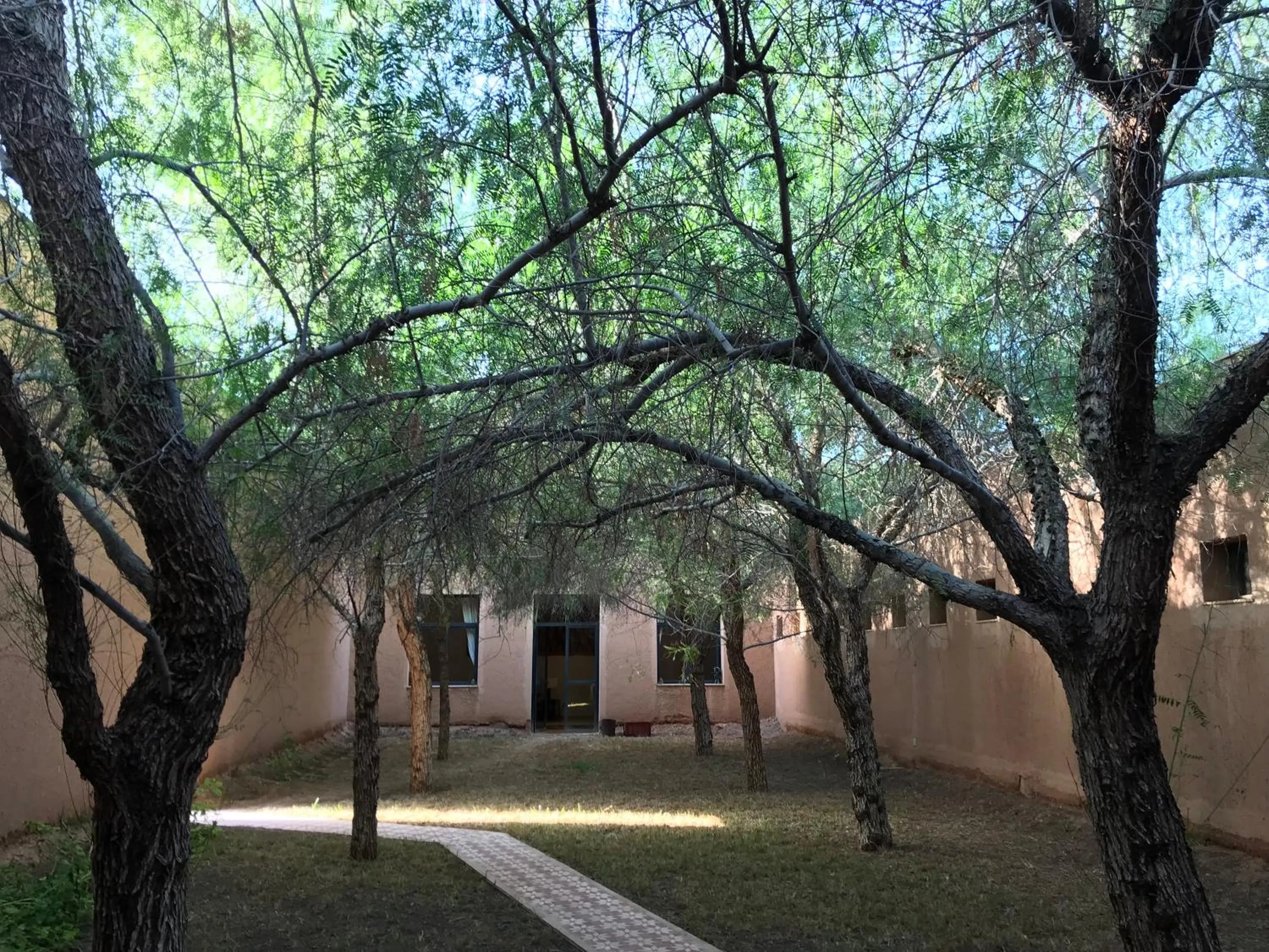 Garden in Côté Sud
