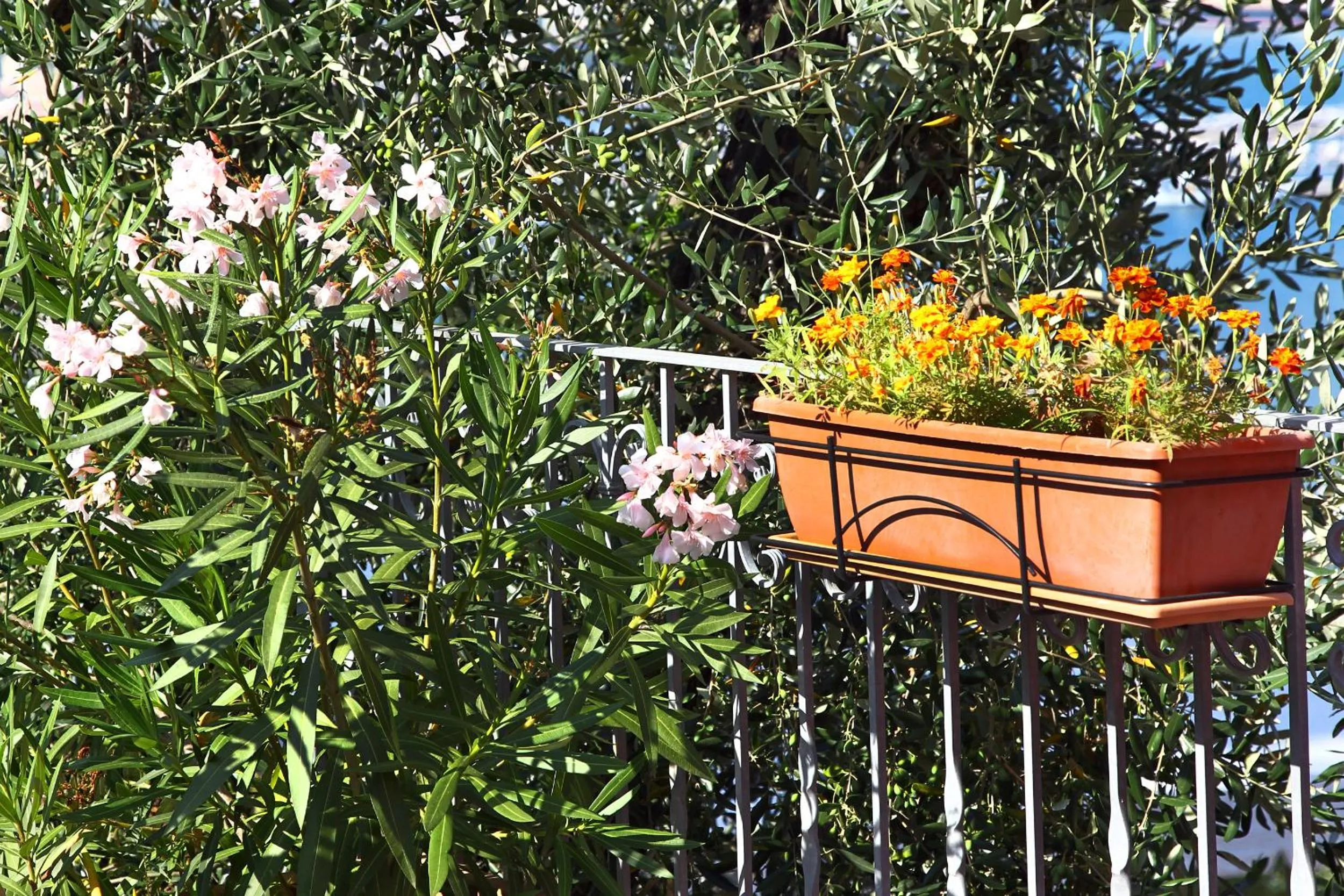 Decorative detail in Le Ville Relais