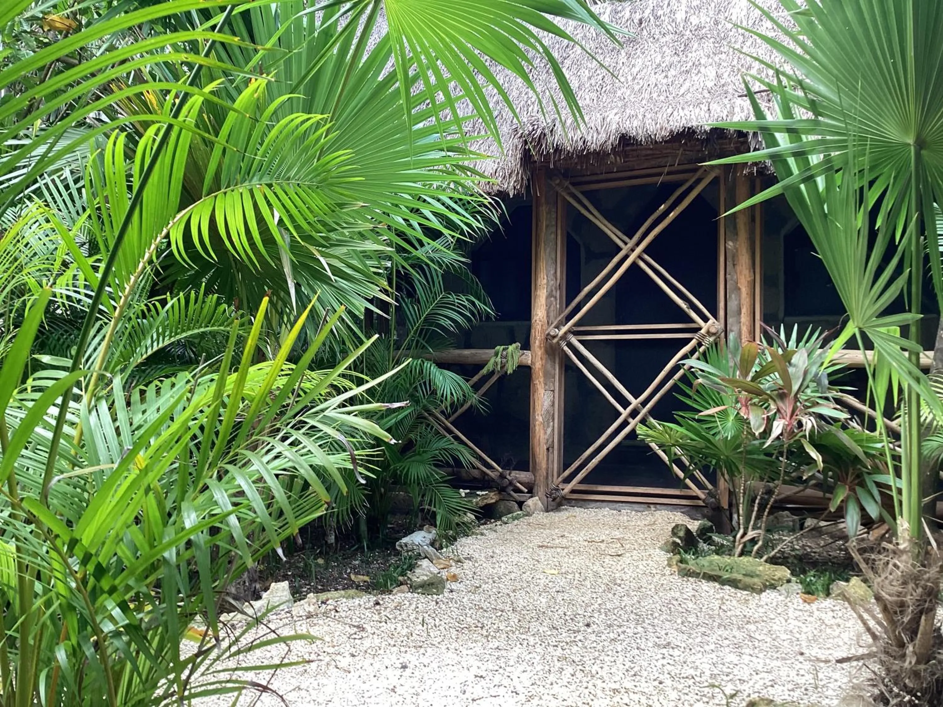 Garden in Yaxchen Tulum Cabañas & Cenote