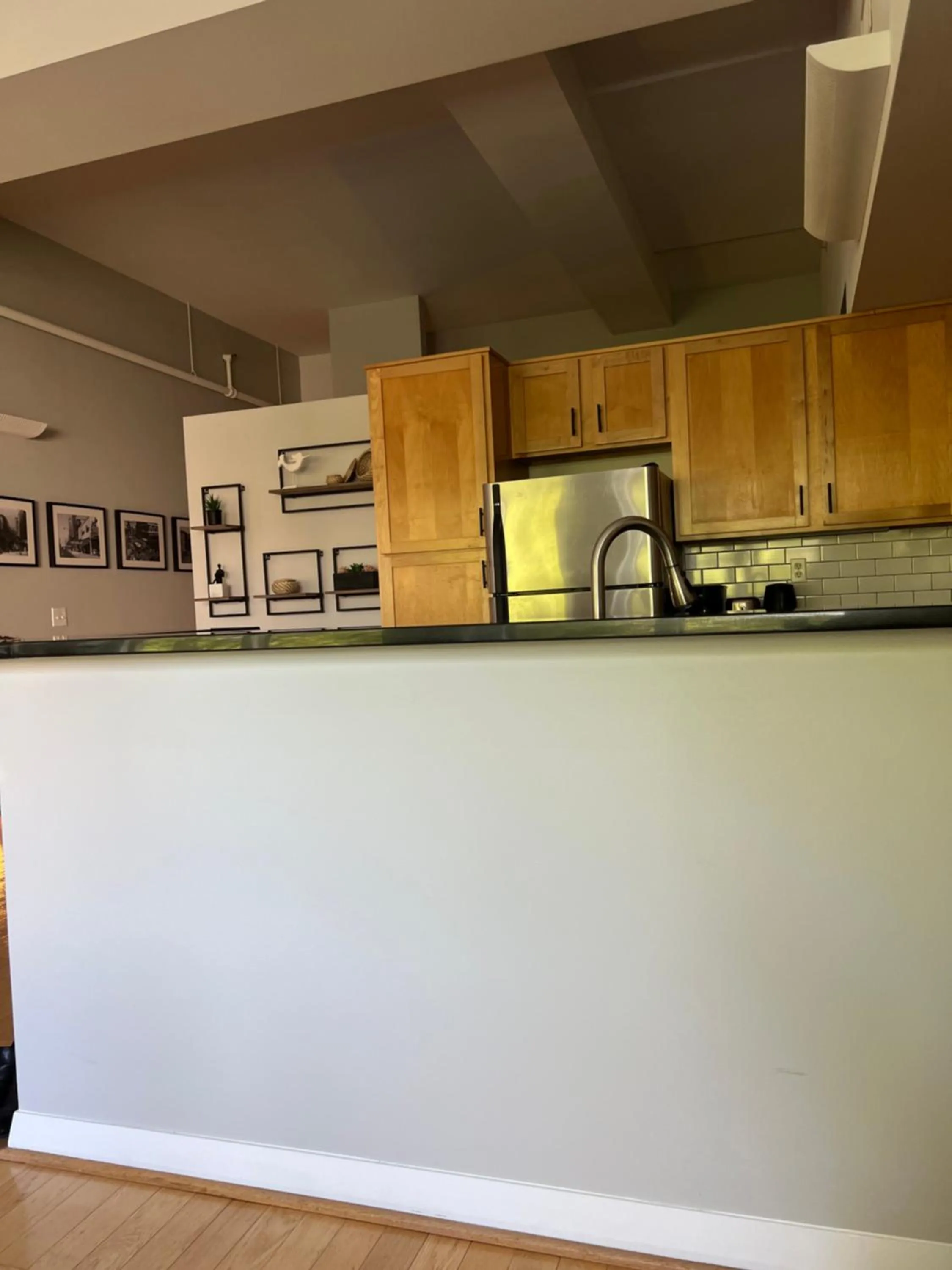 Kitchen or kitchenette in Downtown Norfolk Loft