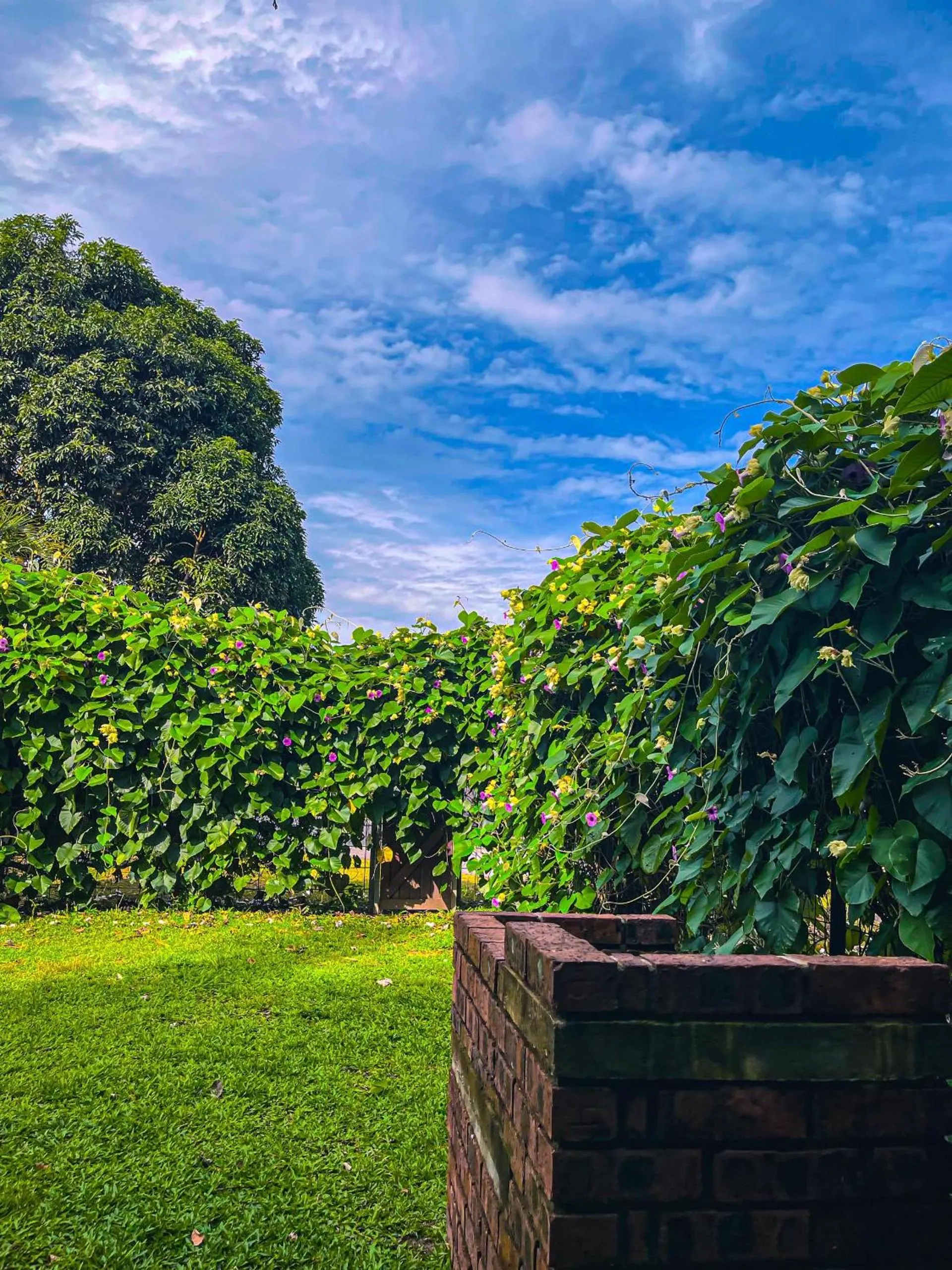 Royale Riviera Resort Private Pool Villas