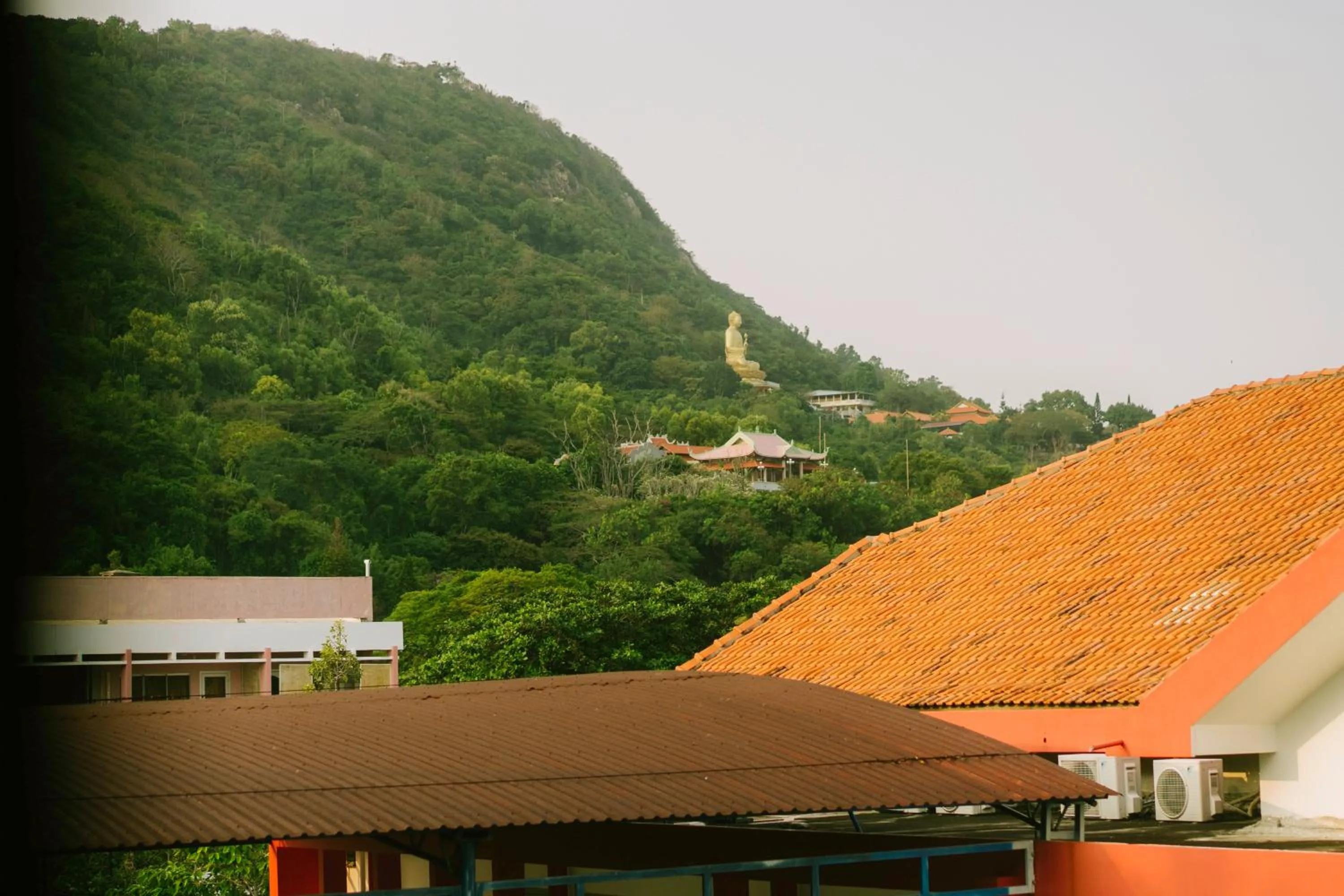 Natural landscape in Mercury Hotel & Apartment