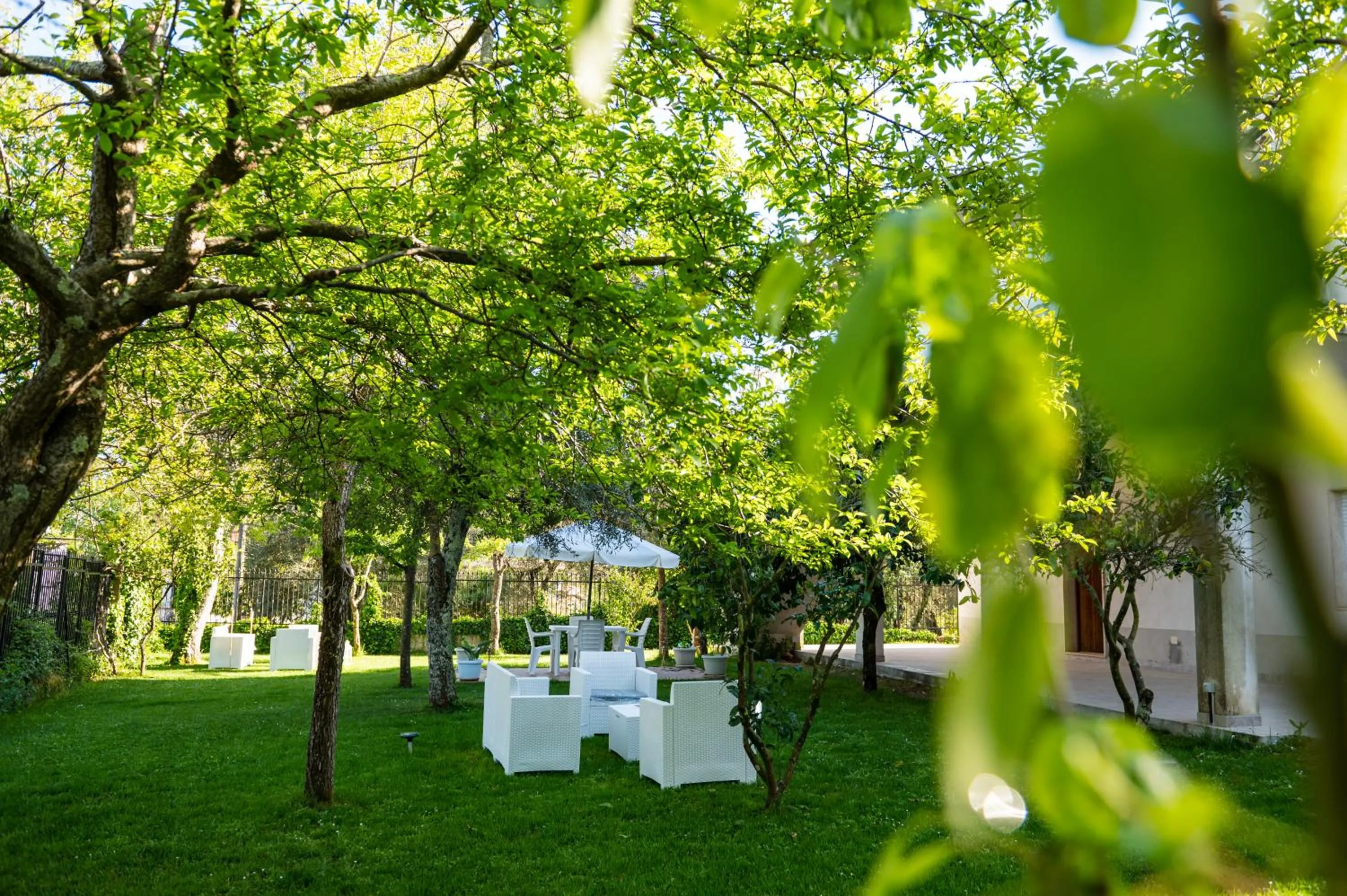Patio in B&B Villa Maracujà