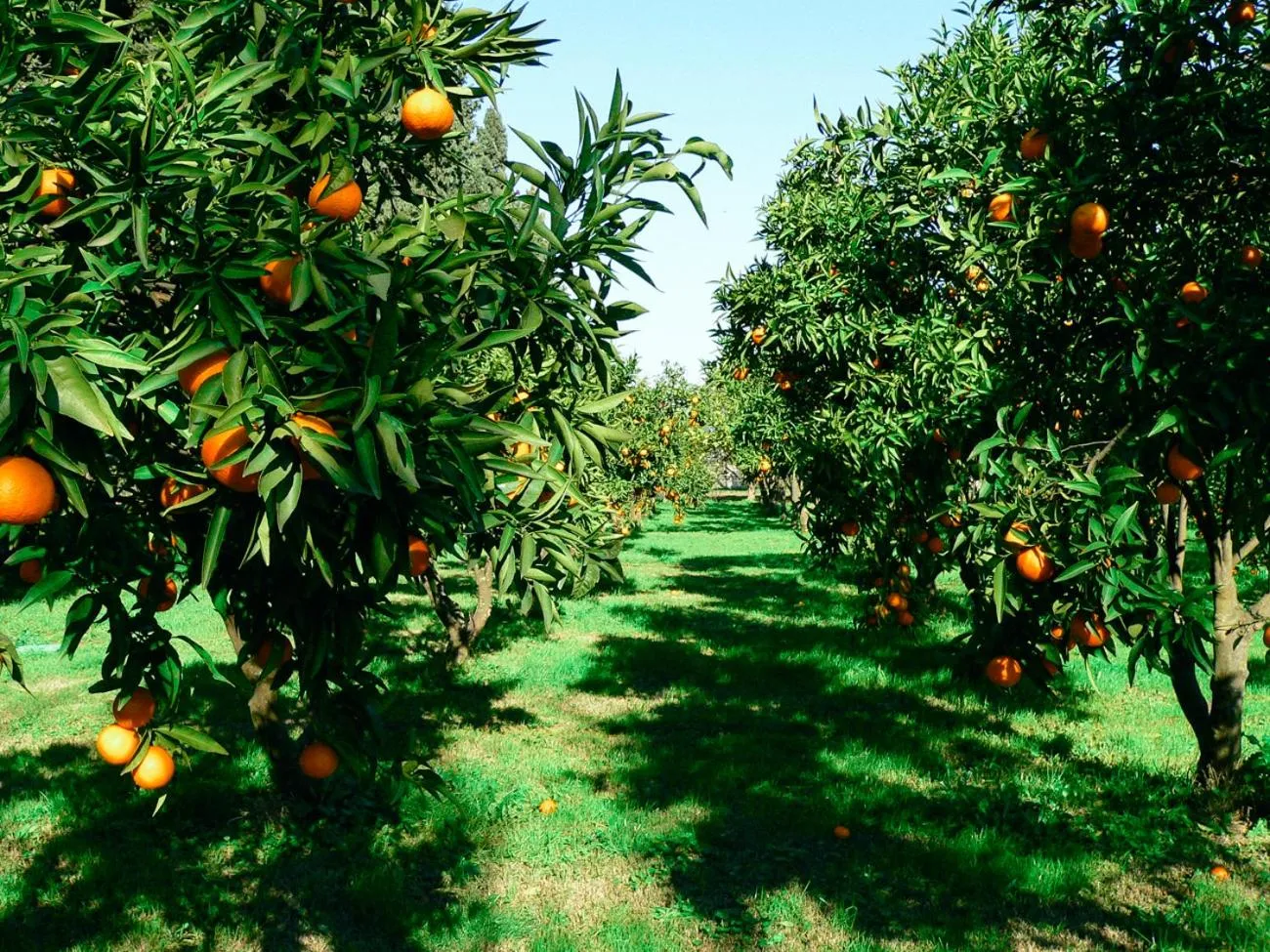 Property building in Tartheshotel