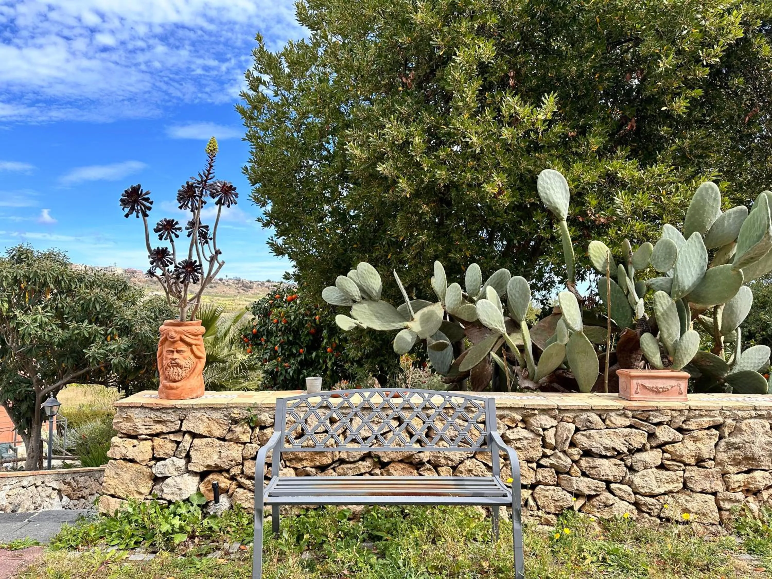 Garden view in Al Palmento Cruillas