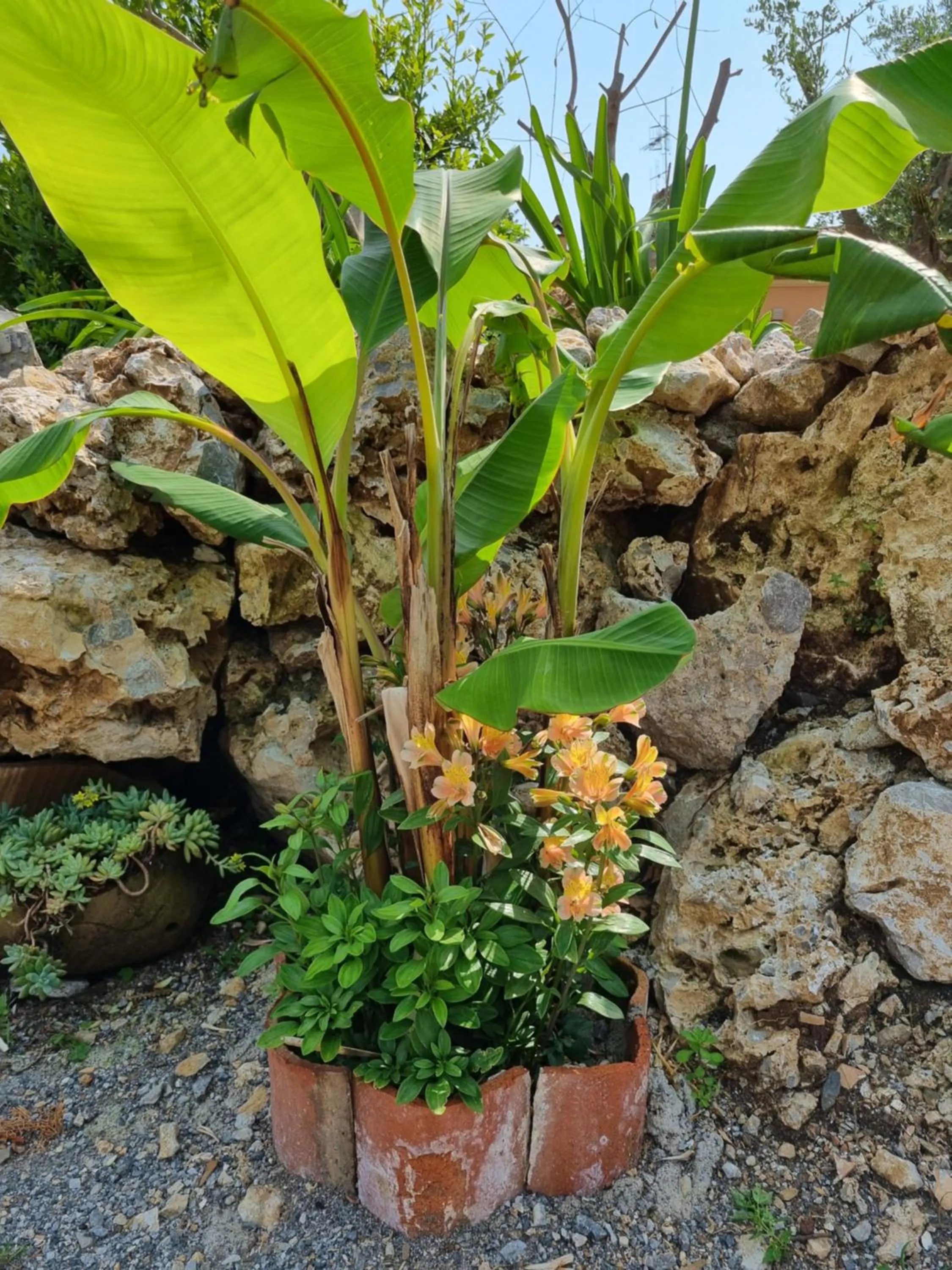 Natural landscape in Il Ruscello