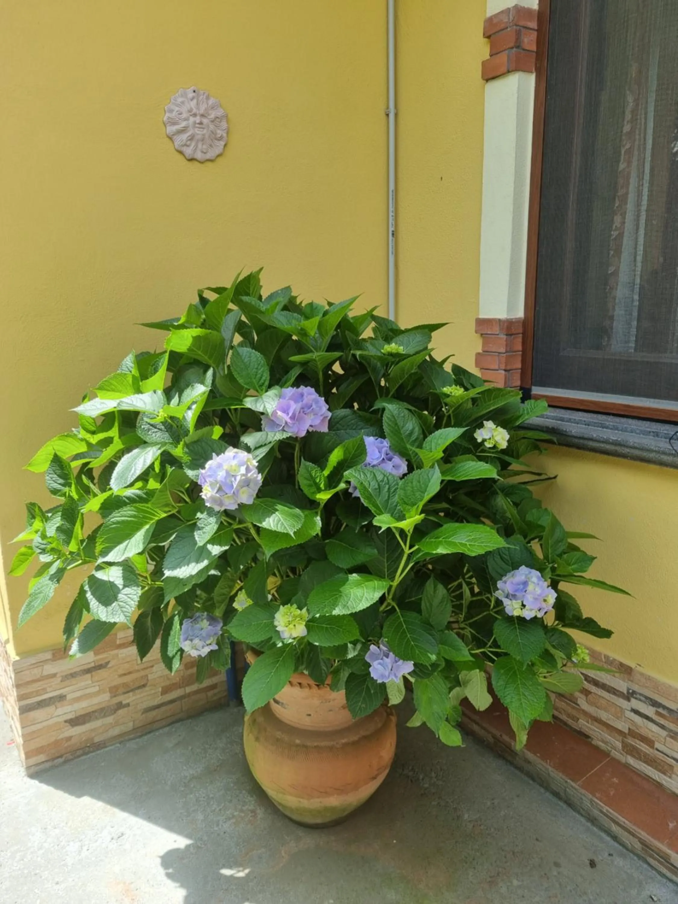 Garden in Il Ruscello