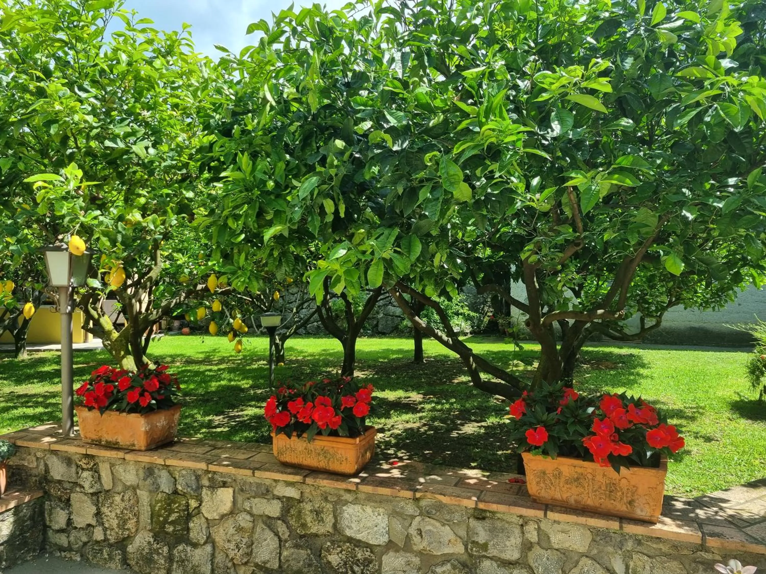 Garden in Il Ruscello