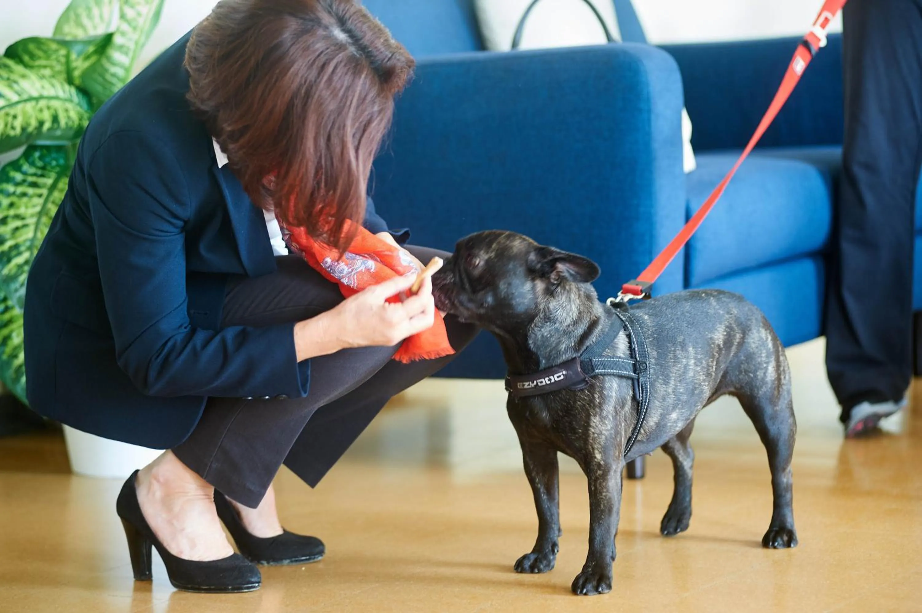 Pets in Hotel Croce Di Malta