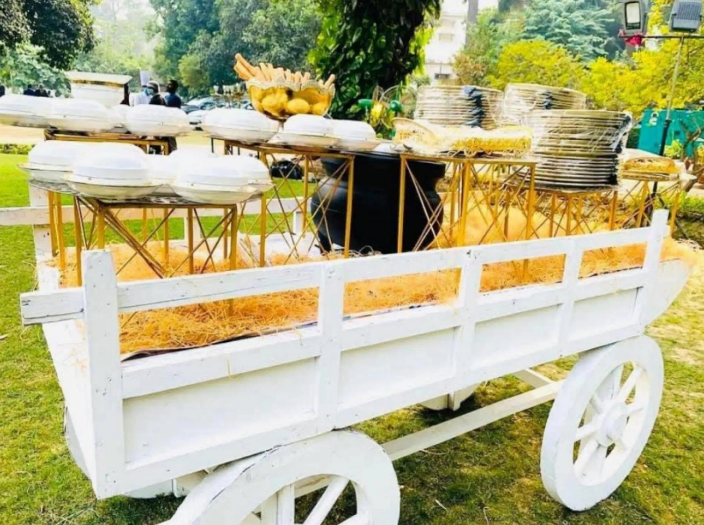 Garden in IIDM Eco Resort