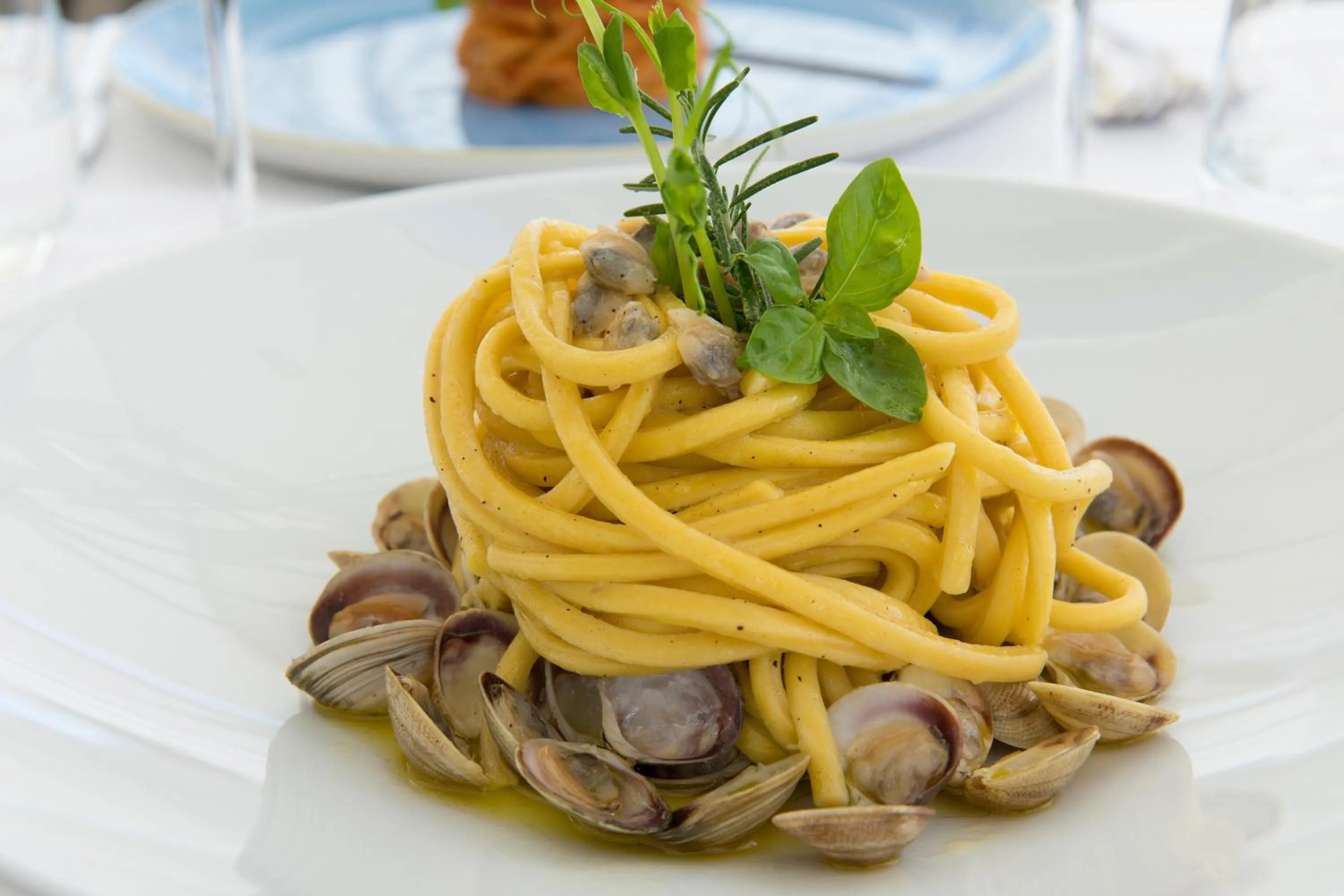 Food in Adriatic Palace Hotel