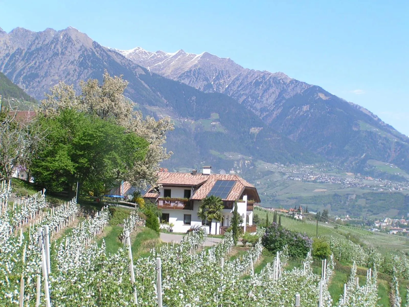 Neighbourhood in Unterbrunnerhof