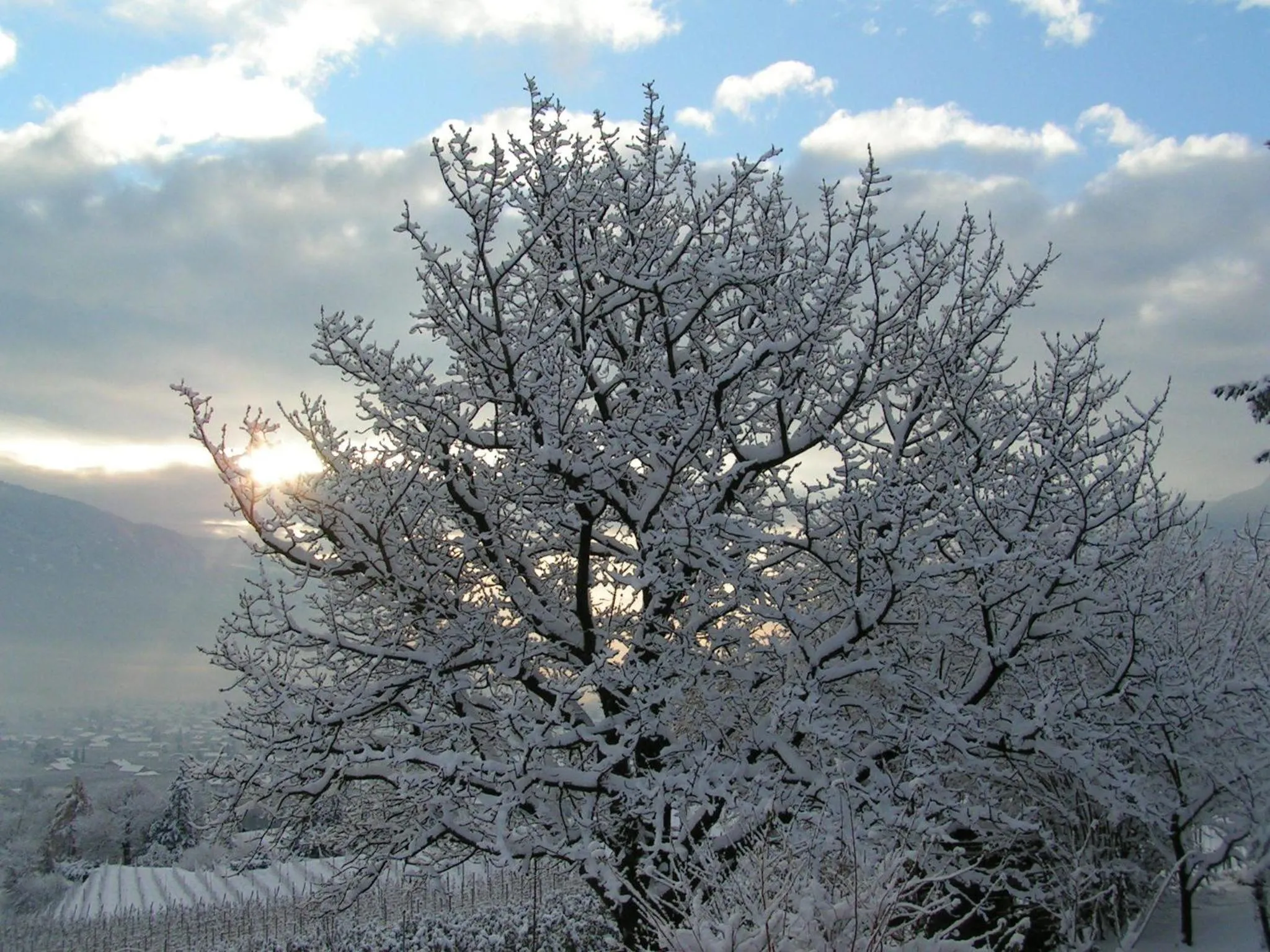 Winter in Unterbrunnerhof