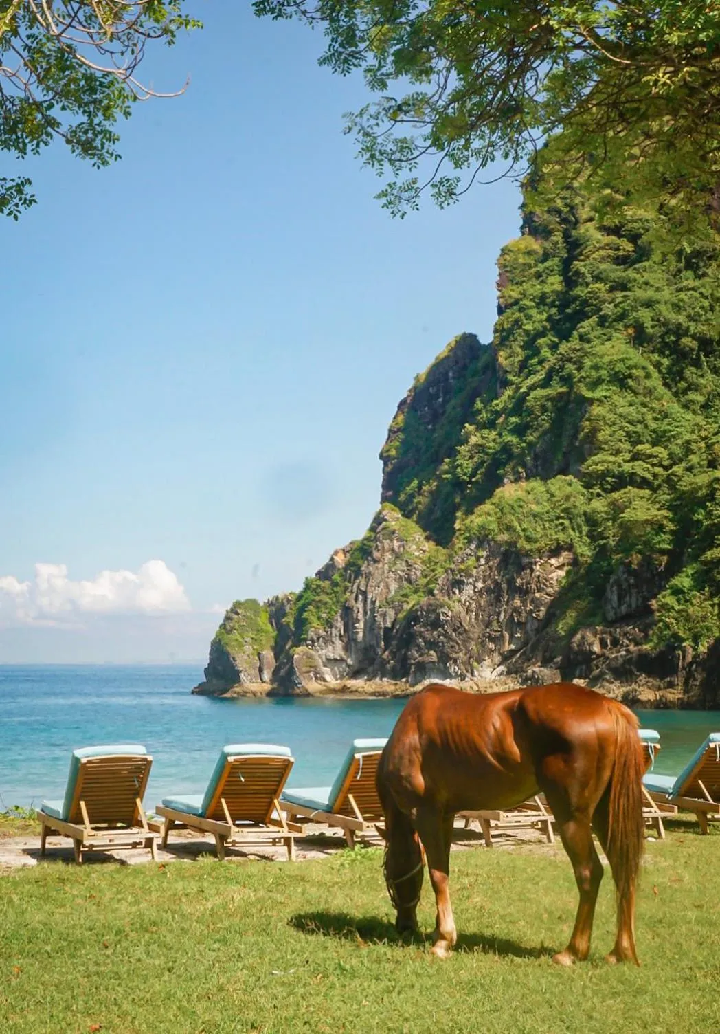 Day in Kirana Retreat - Beach Front Resort