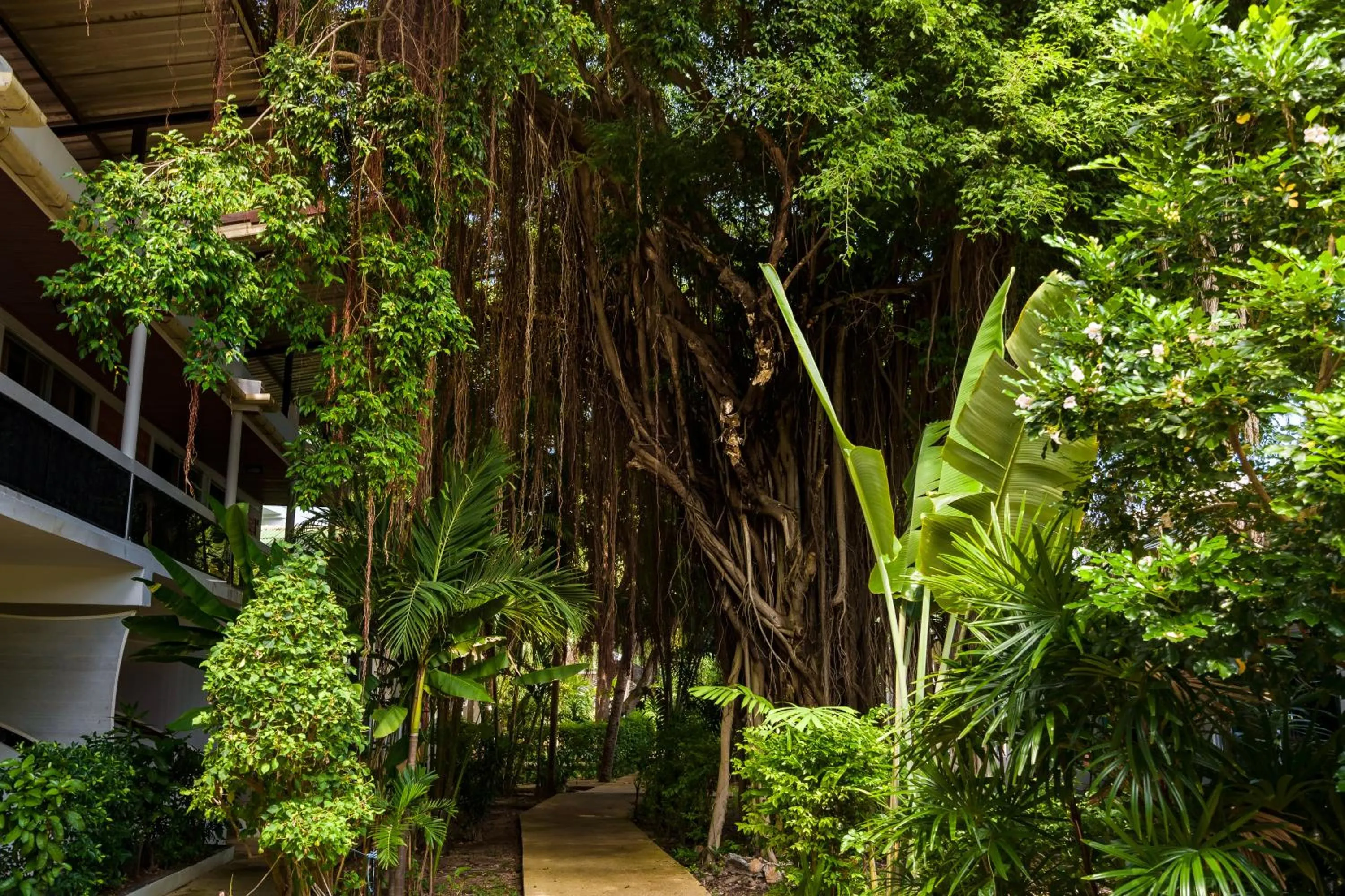 Garden in 4U Resort Samui